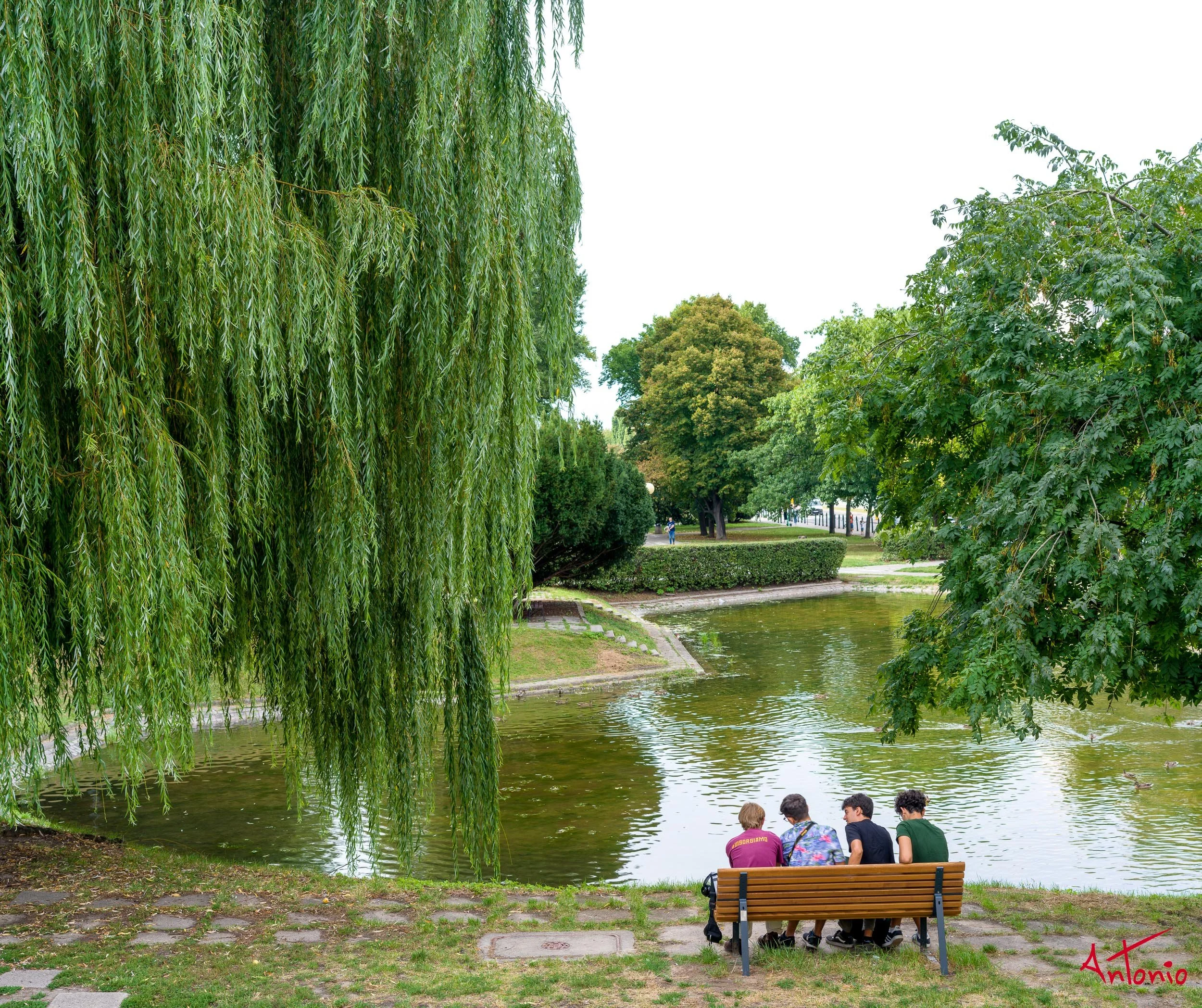 20240823_165604 B0006586 Varsovia, Polonia.jpg