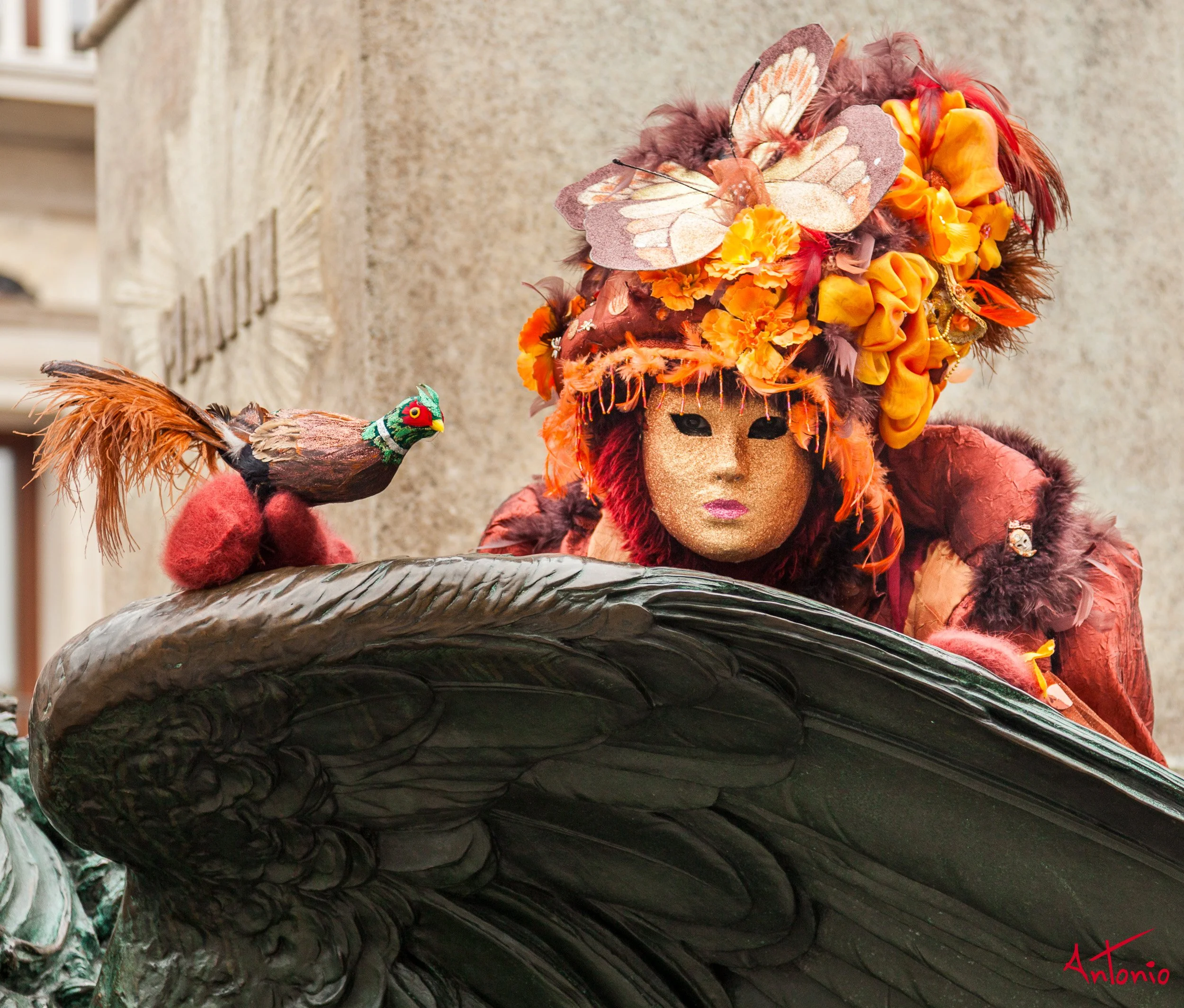 20120219_121453 Carnaval de venecia.jpg
