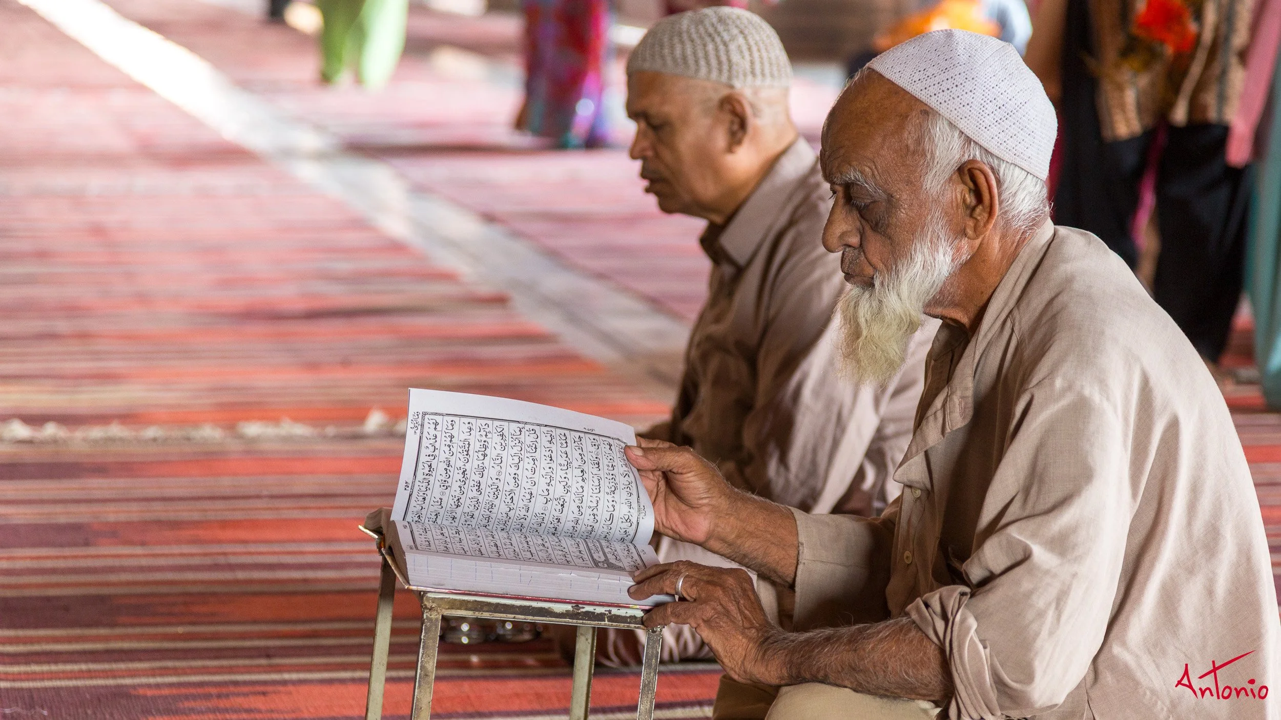 20121120_114539 Delhi.jpg