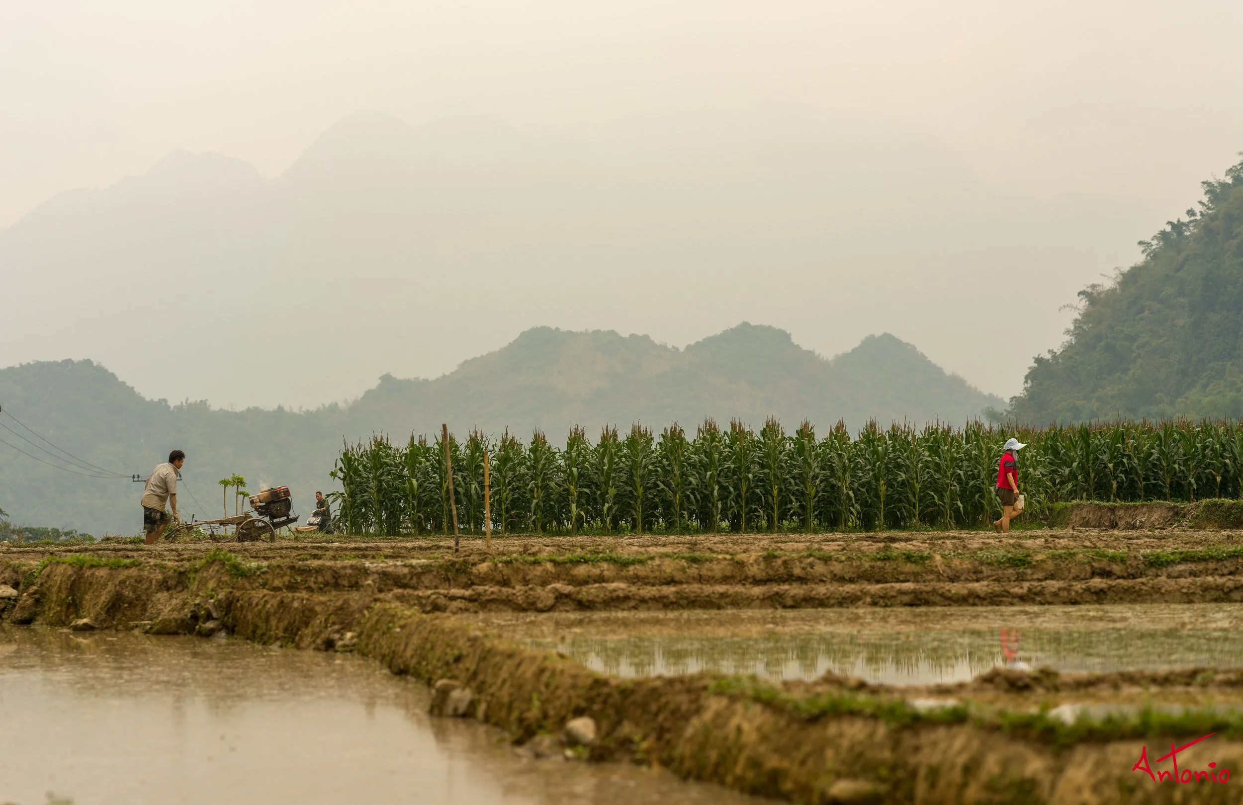 20260203_112042 B0013402 Pu Luong, Vietnam.jpg
