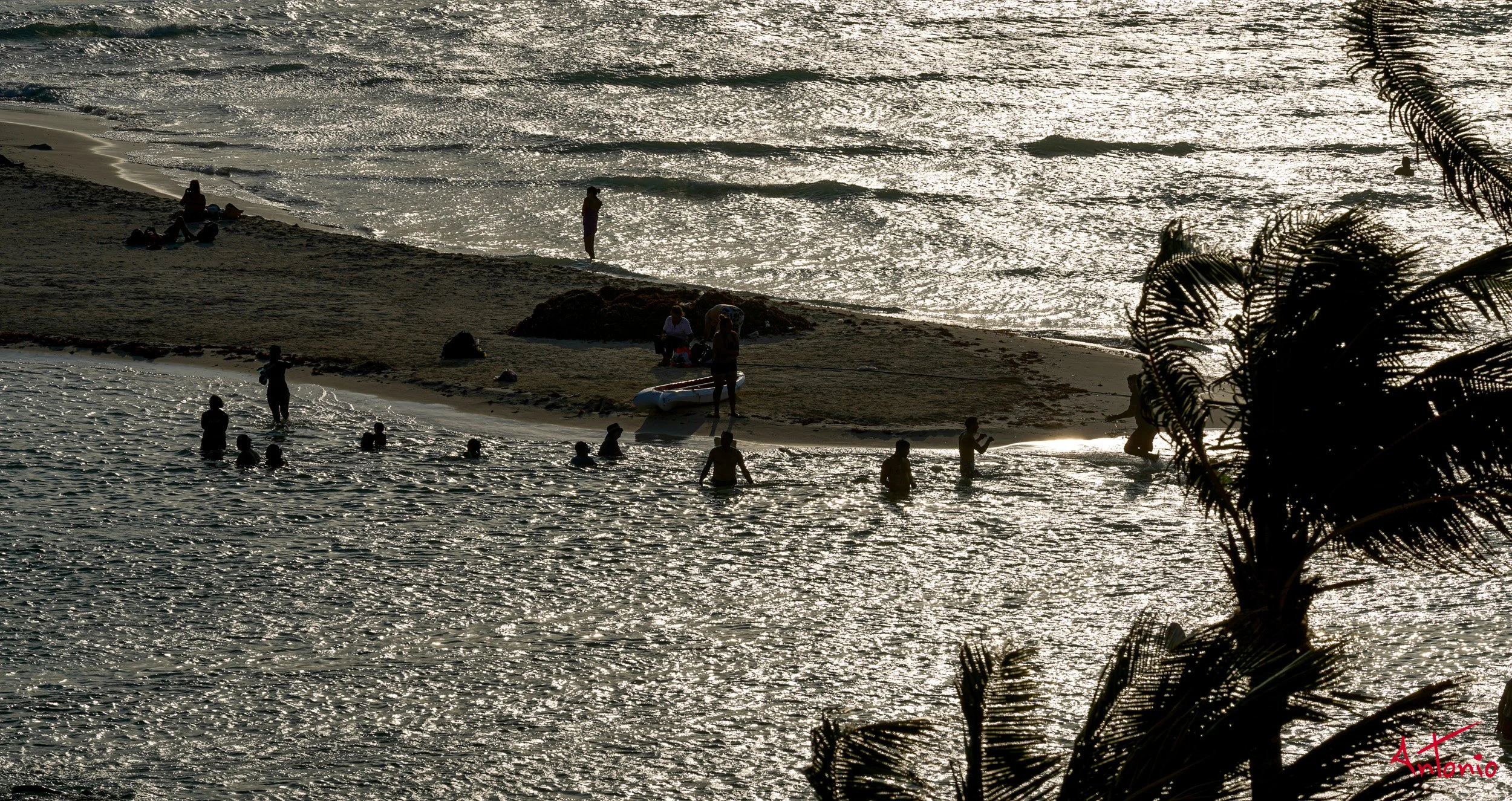 20190413_164713 Isla Mujeres.jpg