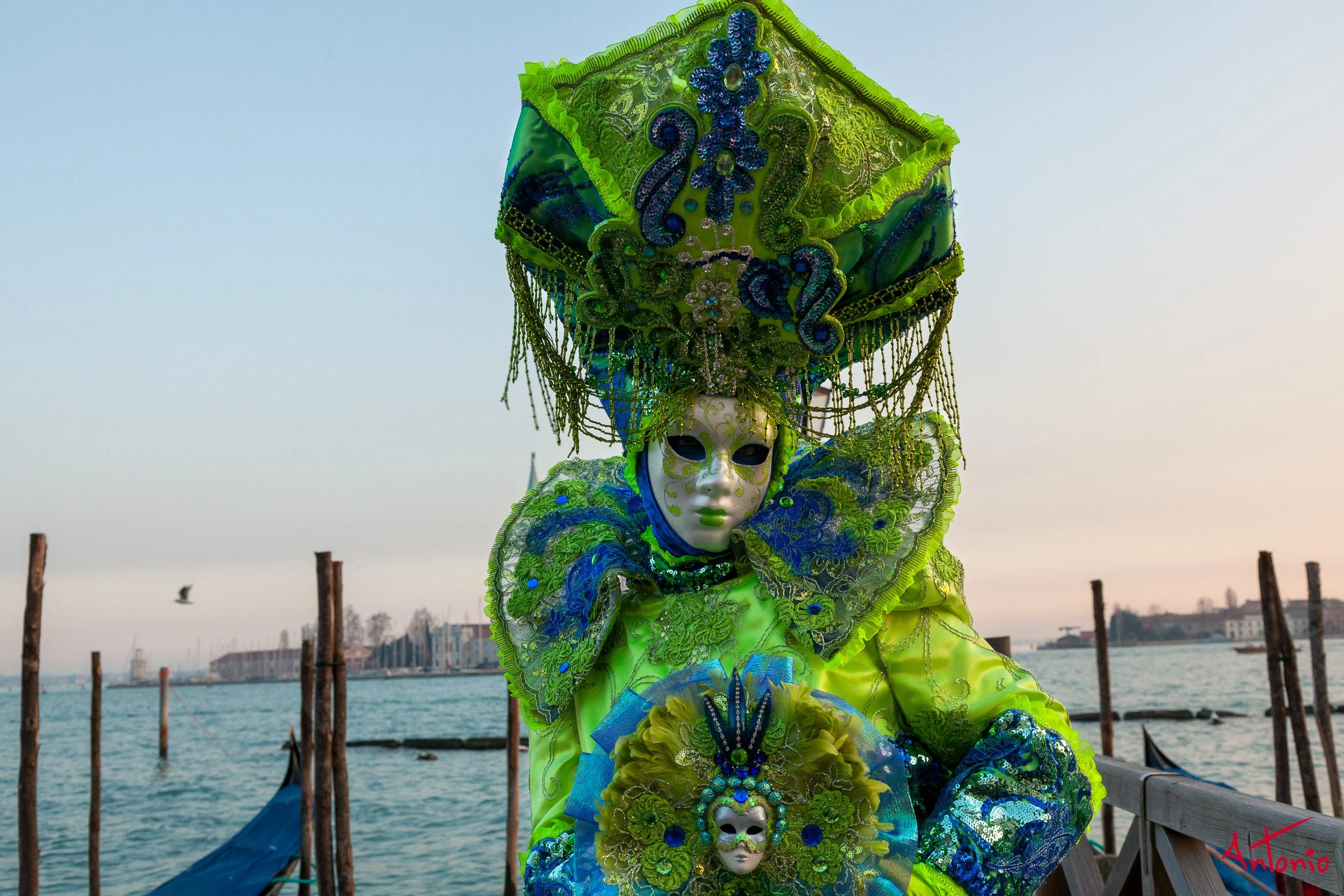 20120216_171521 Carnaval de venecia.jpg