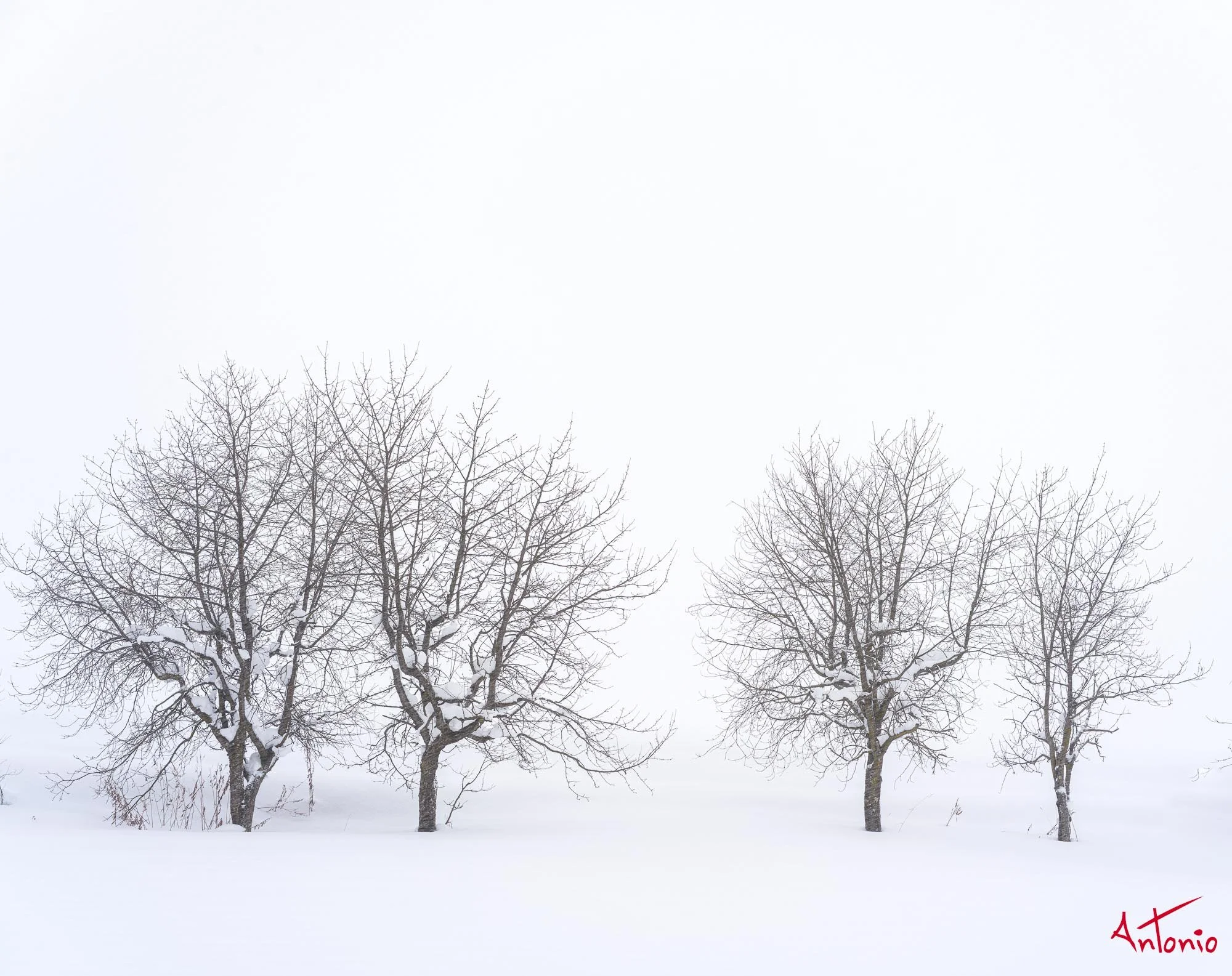 20240110_100229 B0003274 Hokaido.jpg