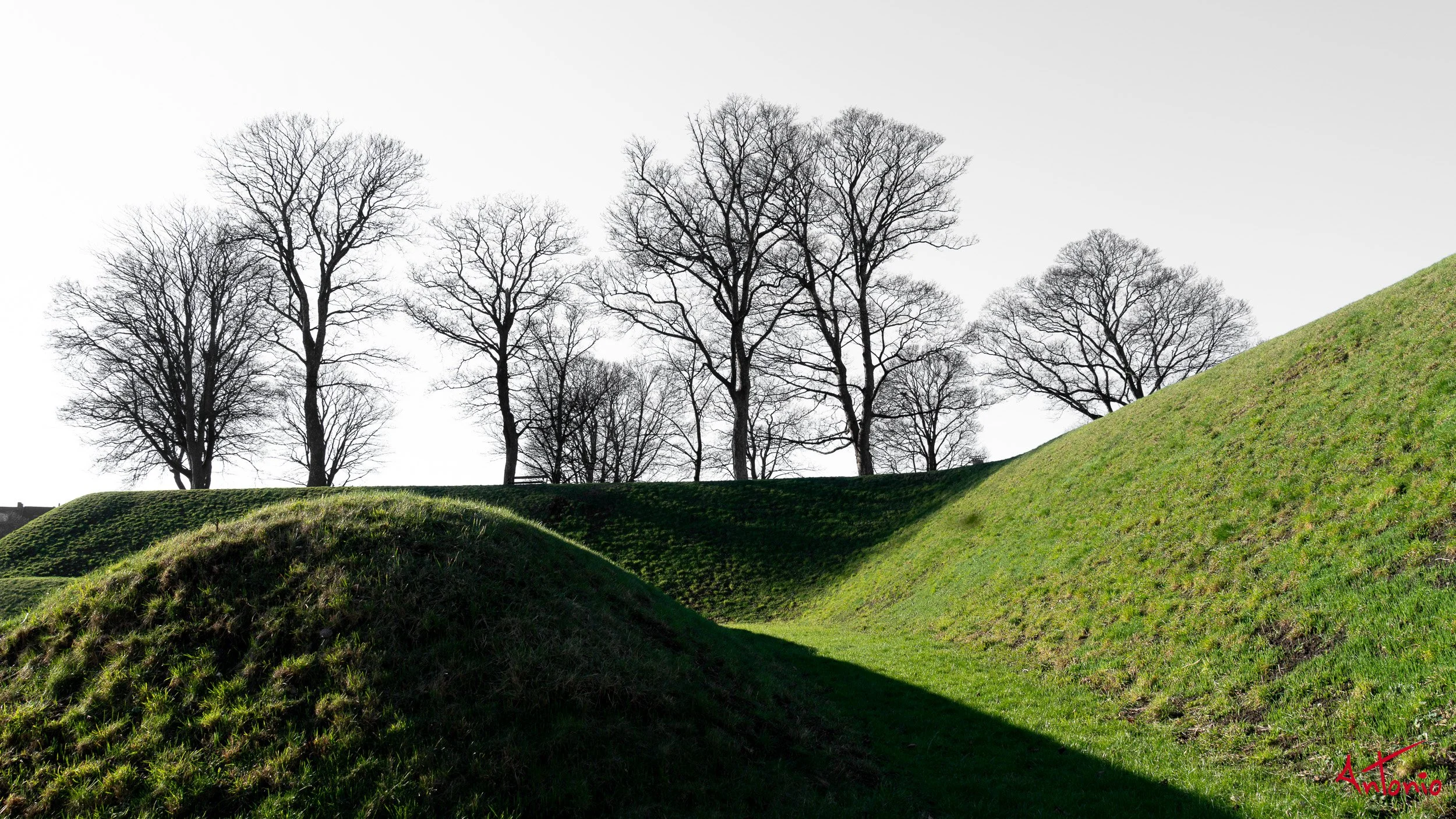 20160215_125040 Copenhagen.jpg