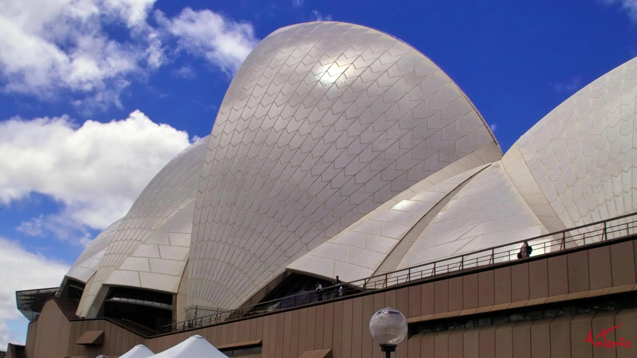 20031118_131254 Sydney.jpg