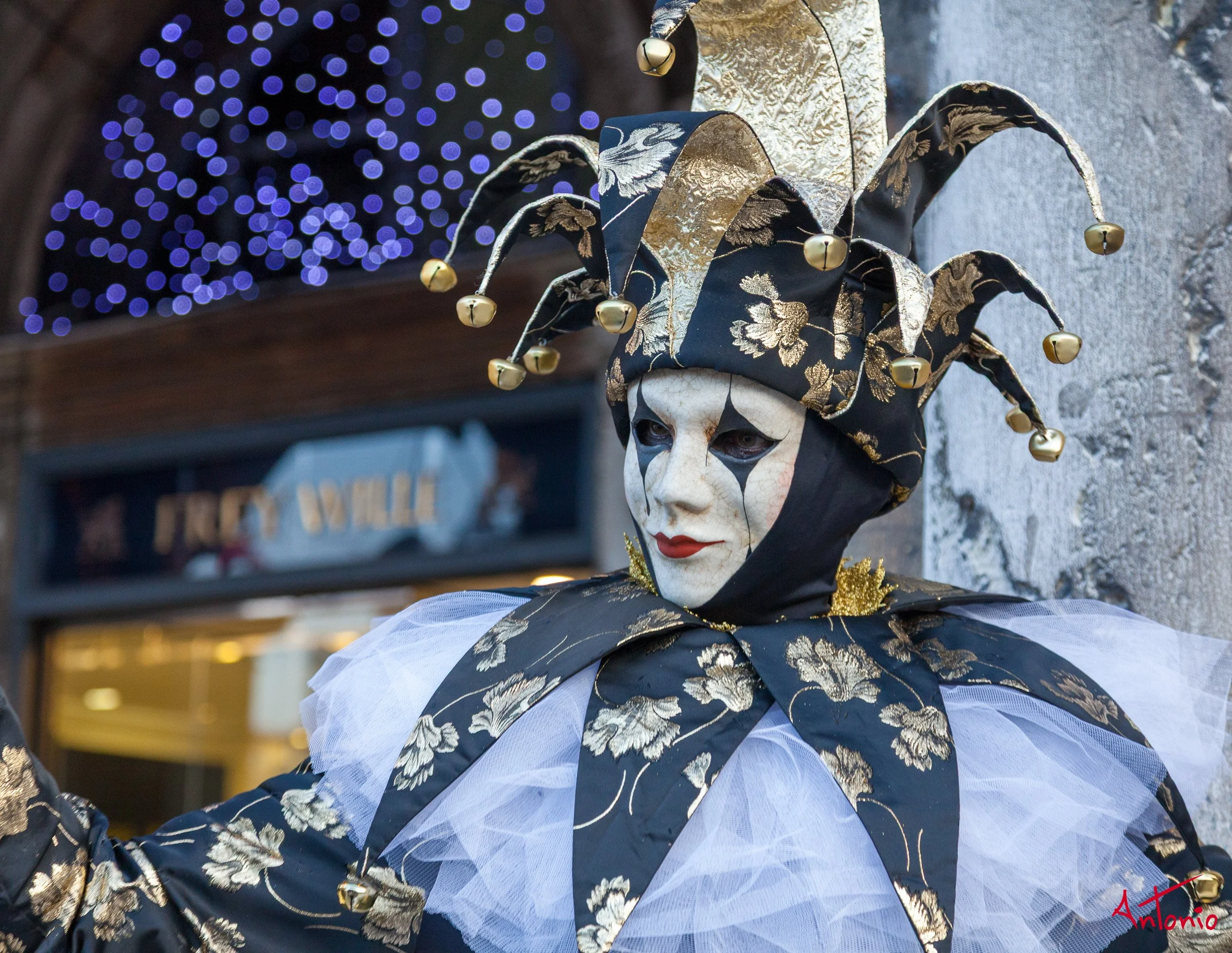 20120216_170330 Carnaval de venecia.jpg