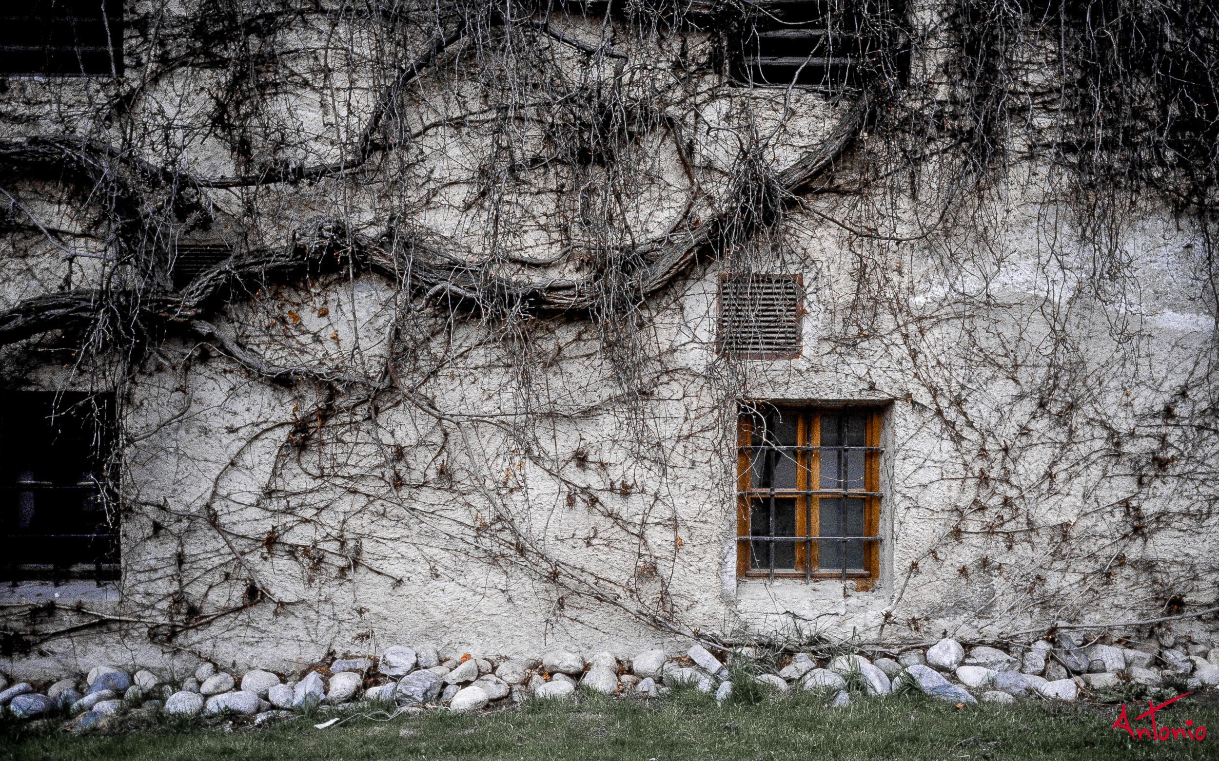 2001_04 Brixen 032.jpg