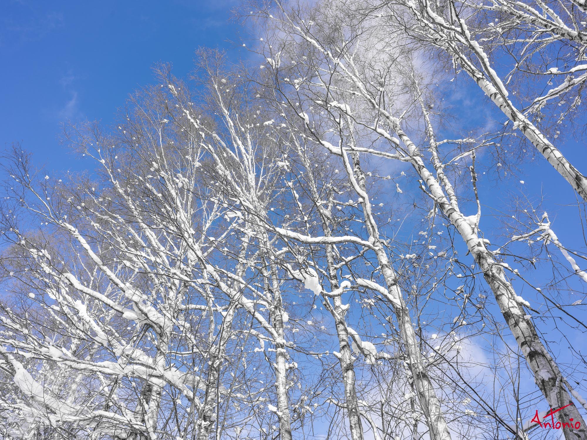 20240108_112532 B0002899 Hokaido.jpg