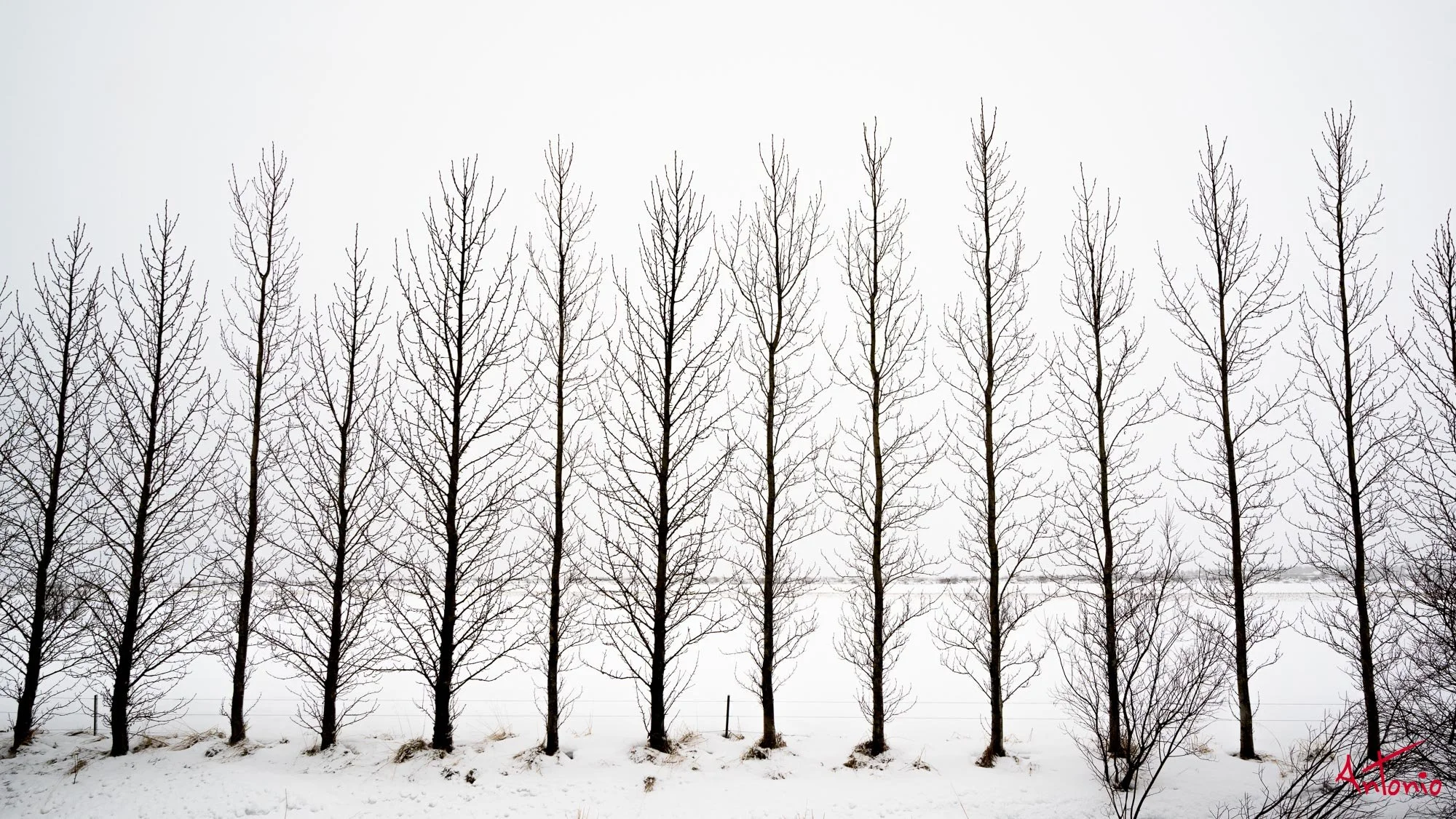 20150123_122646 Islandia.jpg