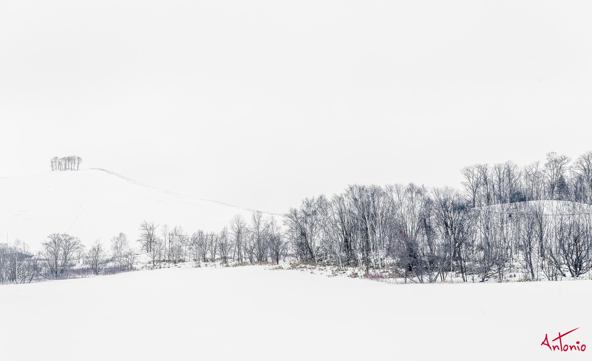 20240118_143138 B0004884 Hokaido.jpg