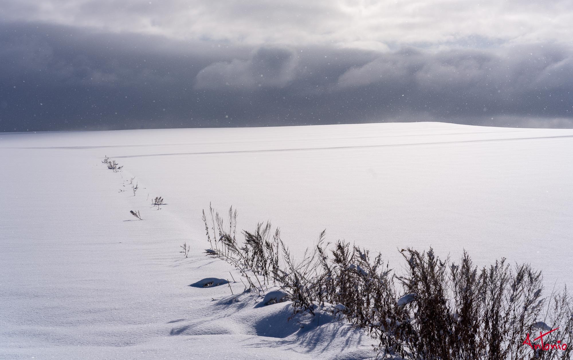 20240108_100232 B0002744 Hokaido.jpg