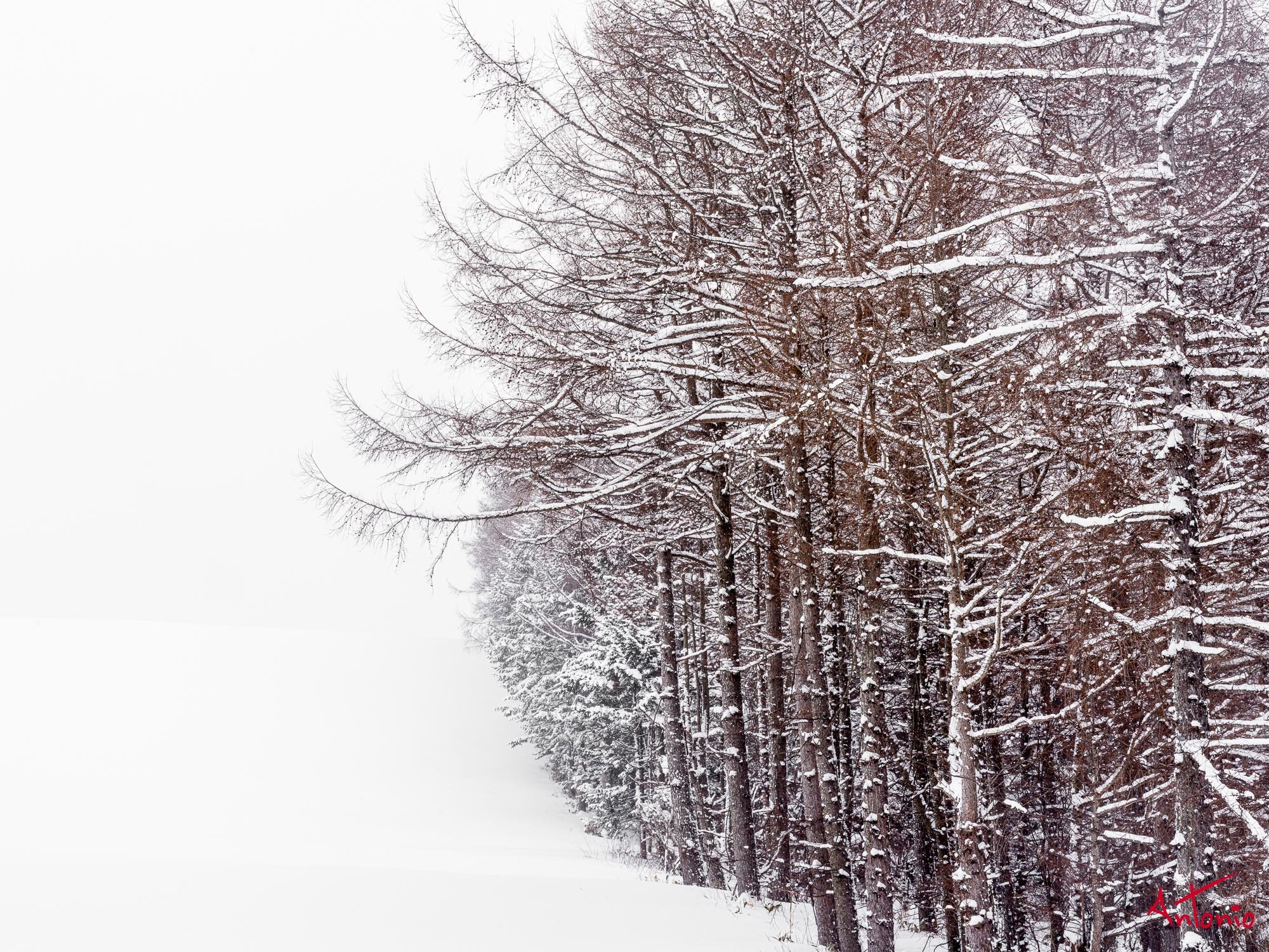 20240116_122954 B0004519 Hokaido.jpg