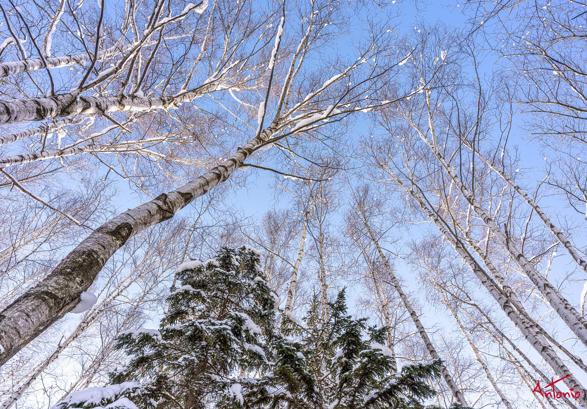 20240108_115444 B0002933 Hokaido.jpg