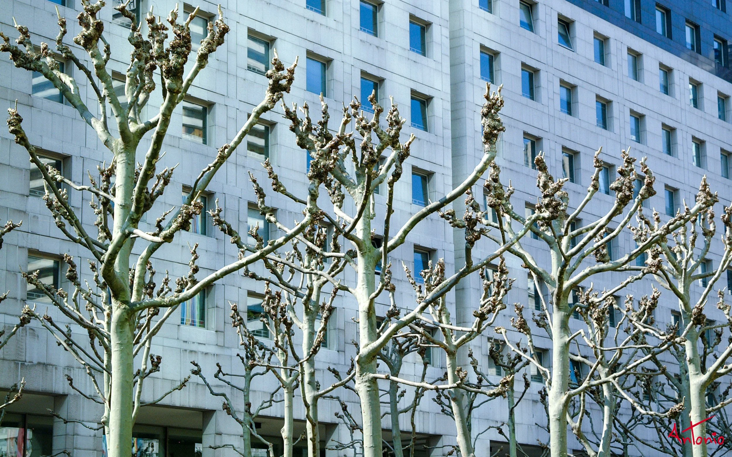 20020324_115822 París.jpg