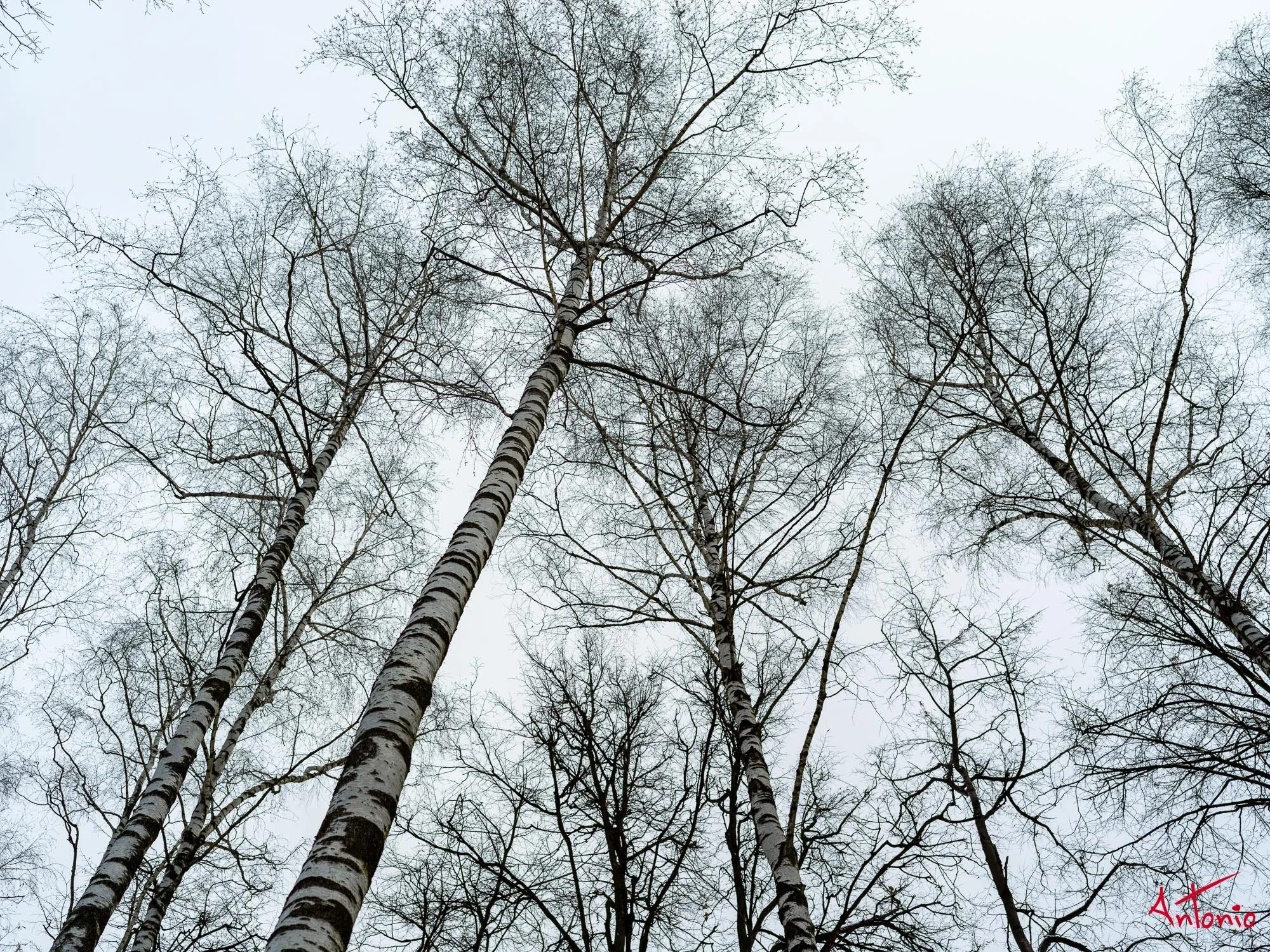 20200214_033403 B0001342 Moscú.jpg