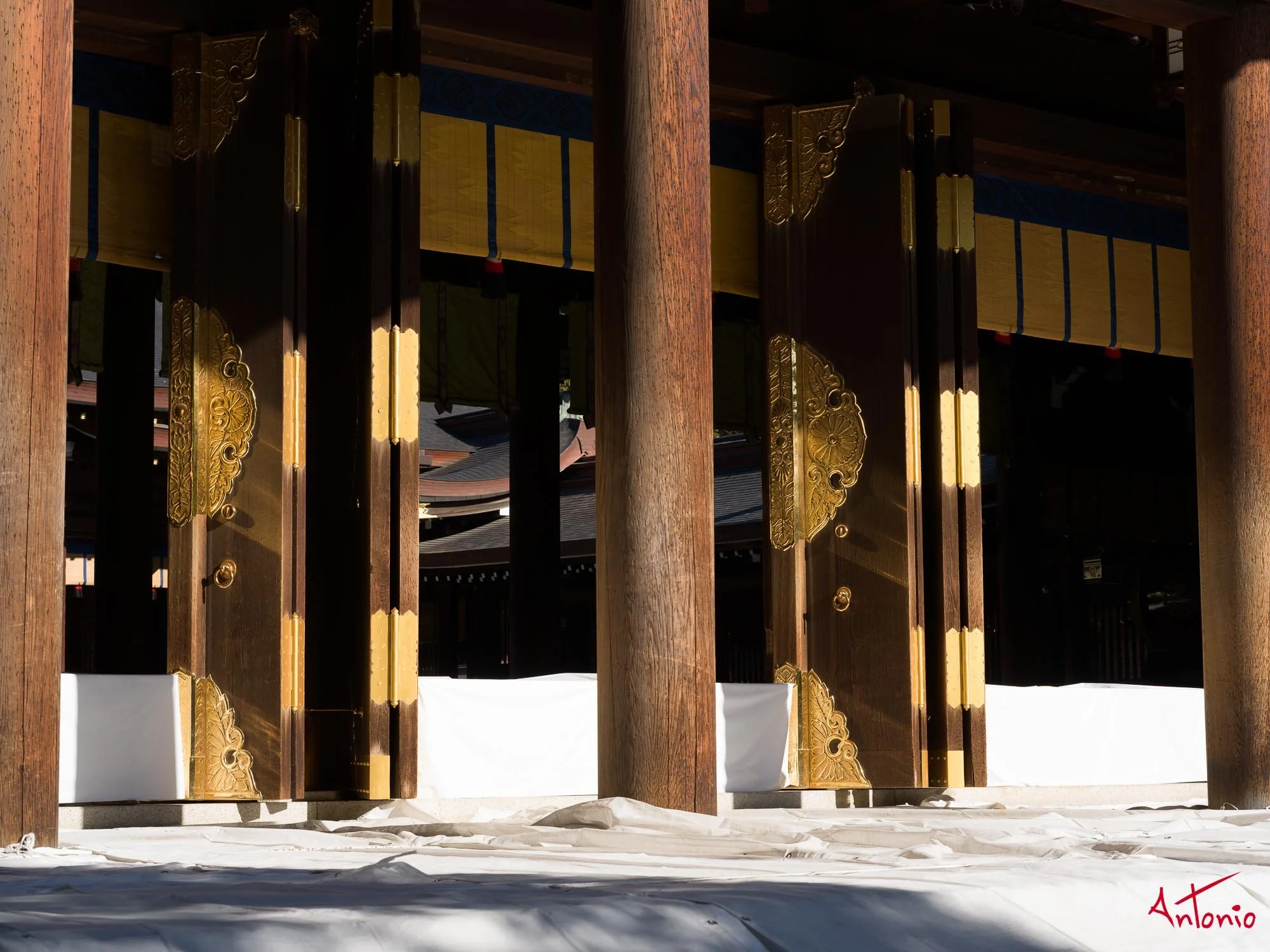 20240123_145750 B0002406 Tokyo.jpg