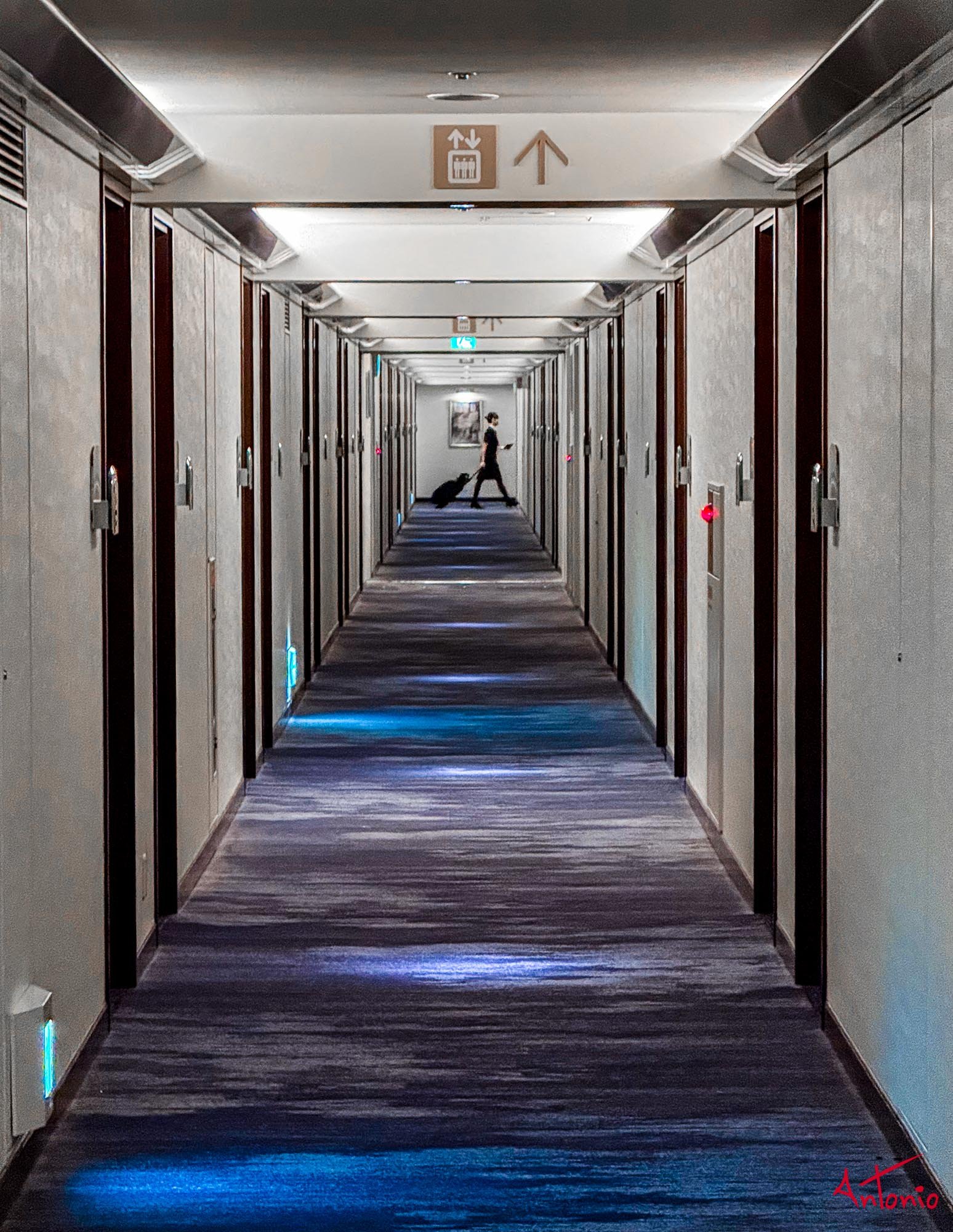 20250727_162809 Osaka, Japan.jpg