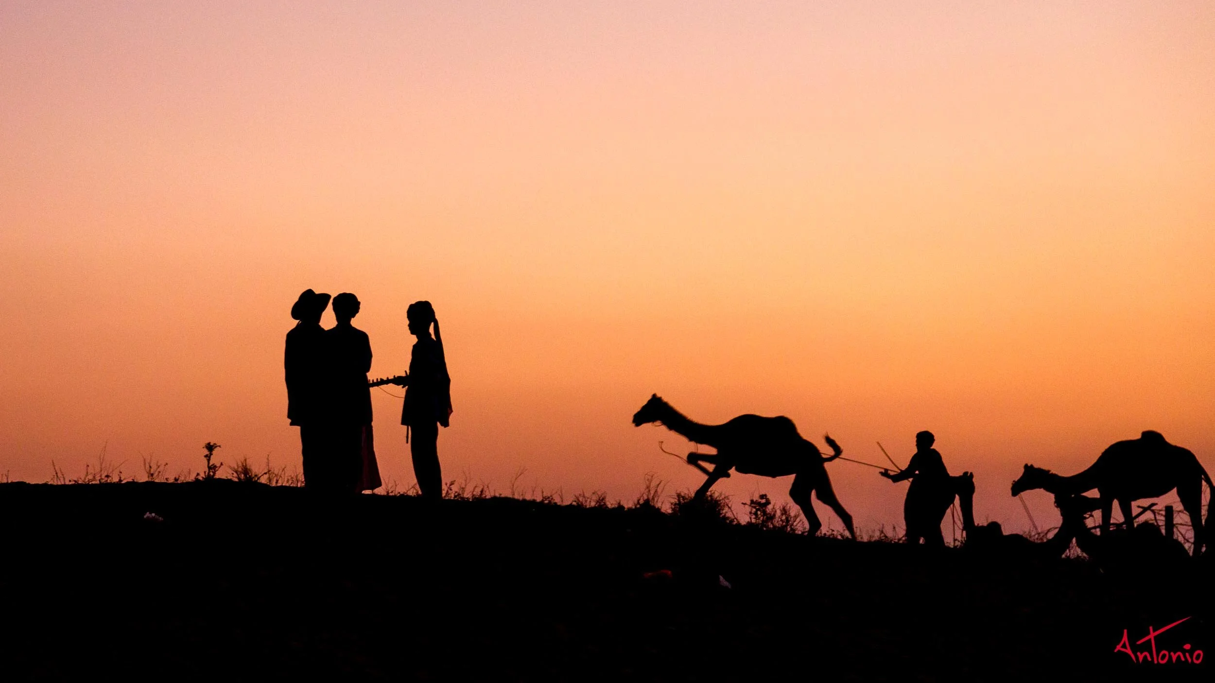 20121123_180149 Pushkar.jpg