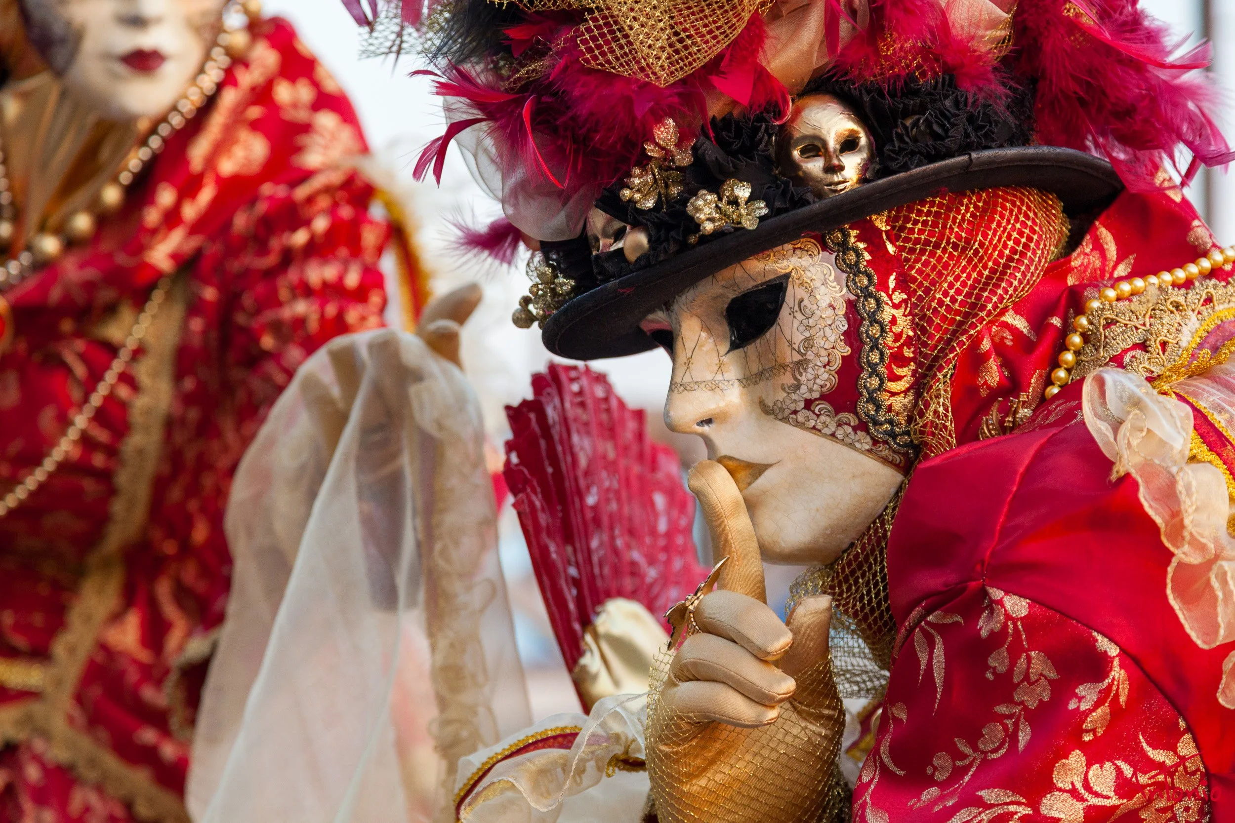 20120216_171248 Carnaval de venecia.jpg