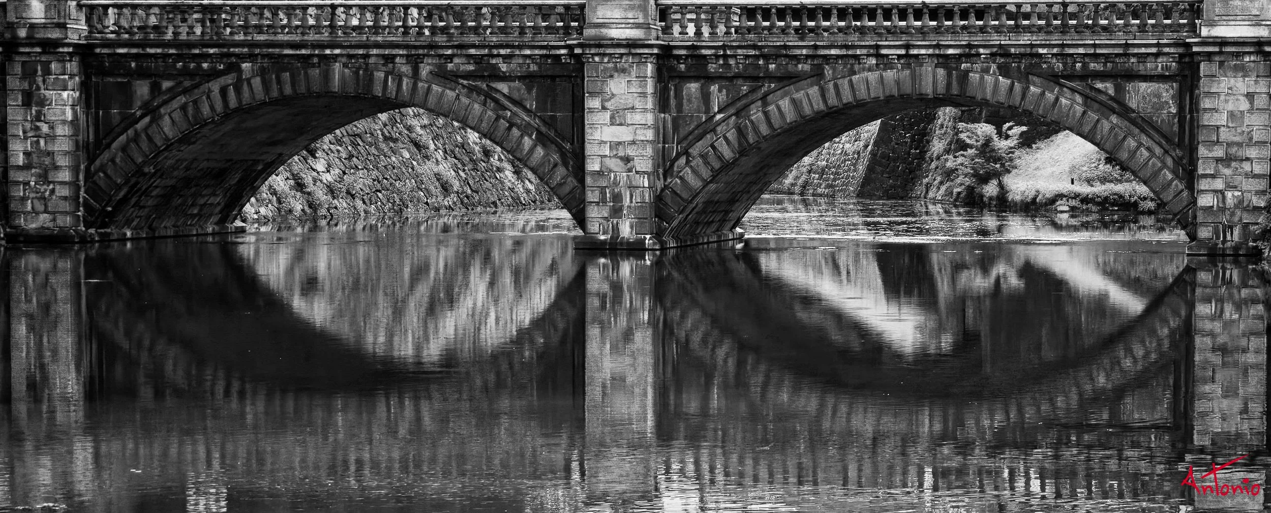 20250714_120954 Tokyo, Japan.jpg