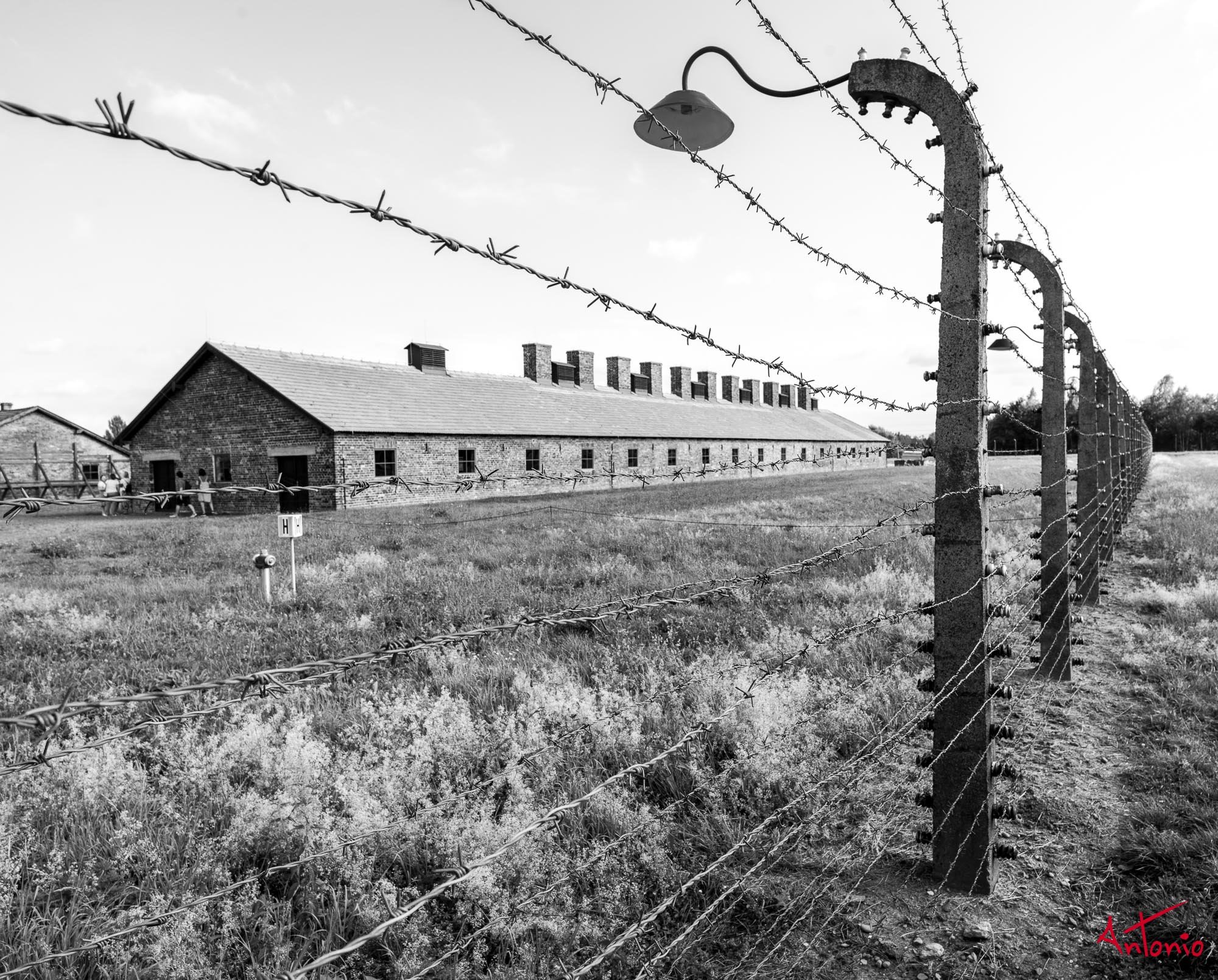 20240820_161934 B0006296 Auschwitz-Brinkenau, Polonia.jpg
