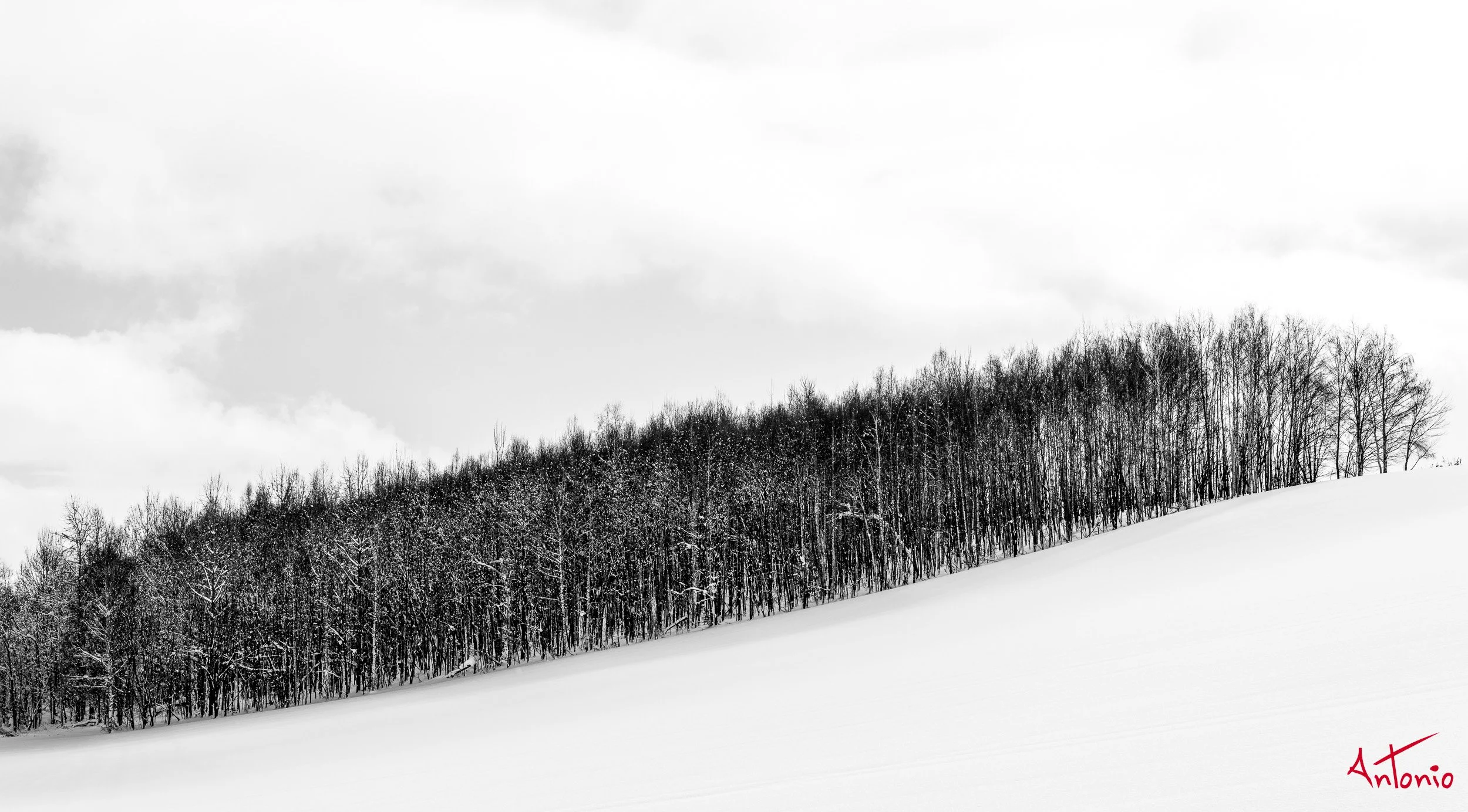 20240107_200528 B0002865 Hokaido, Japan.jpg