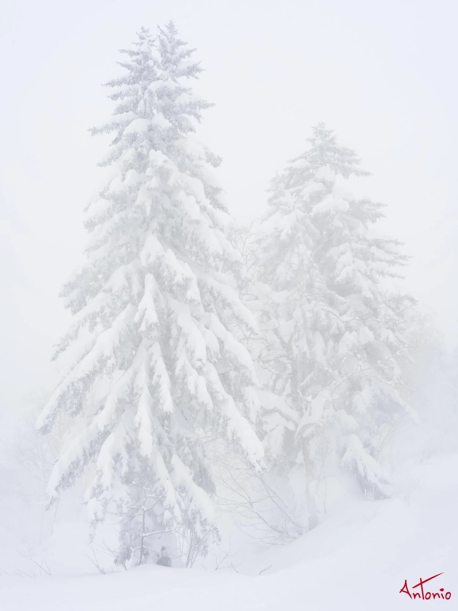 20240110_121908 B0003344 Hokaido.jpg