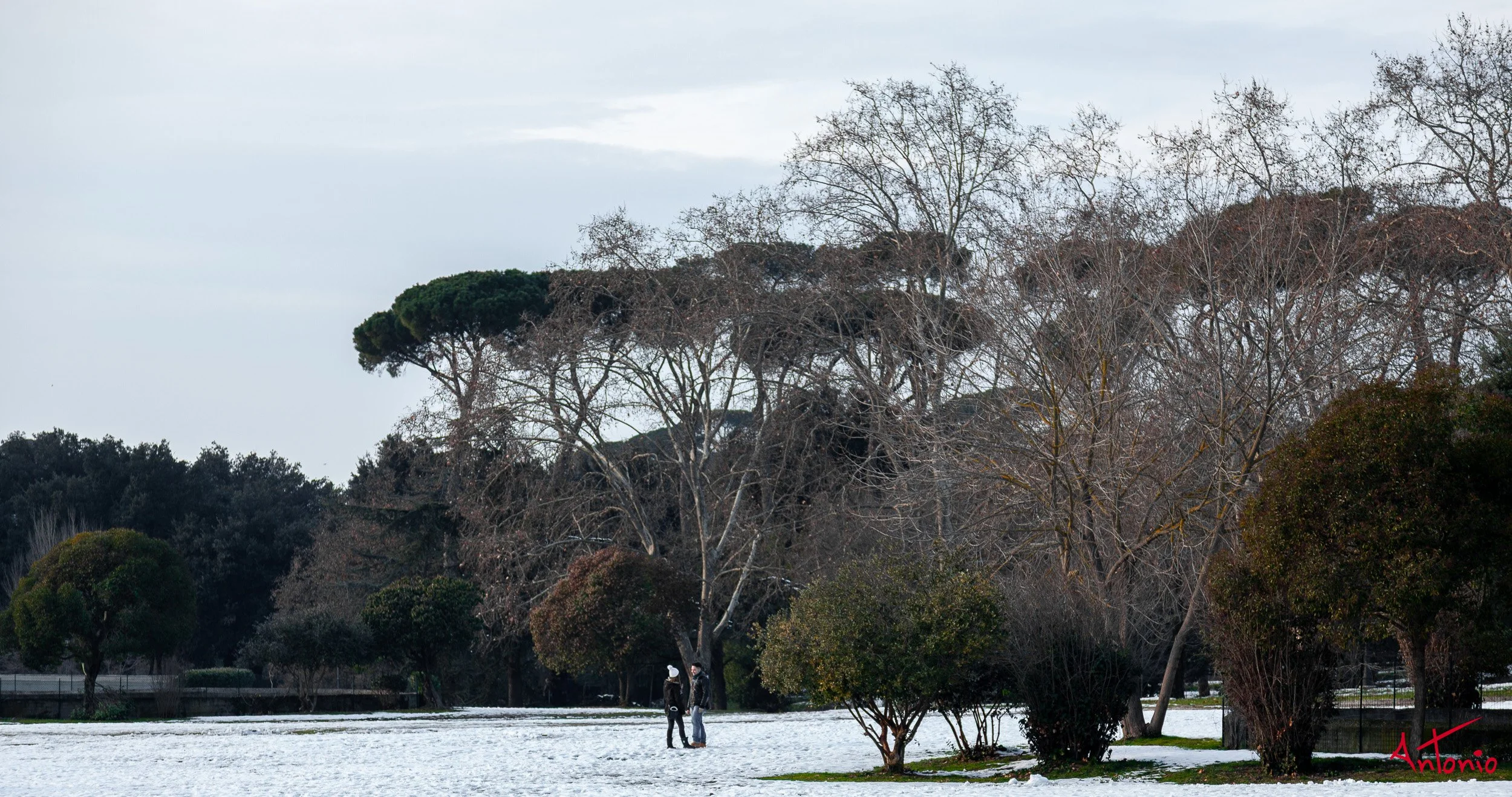 20120212_162955 Roma.jpg
