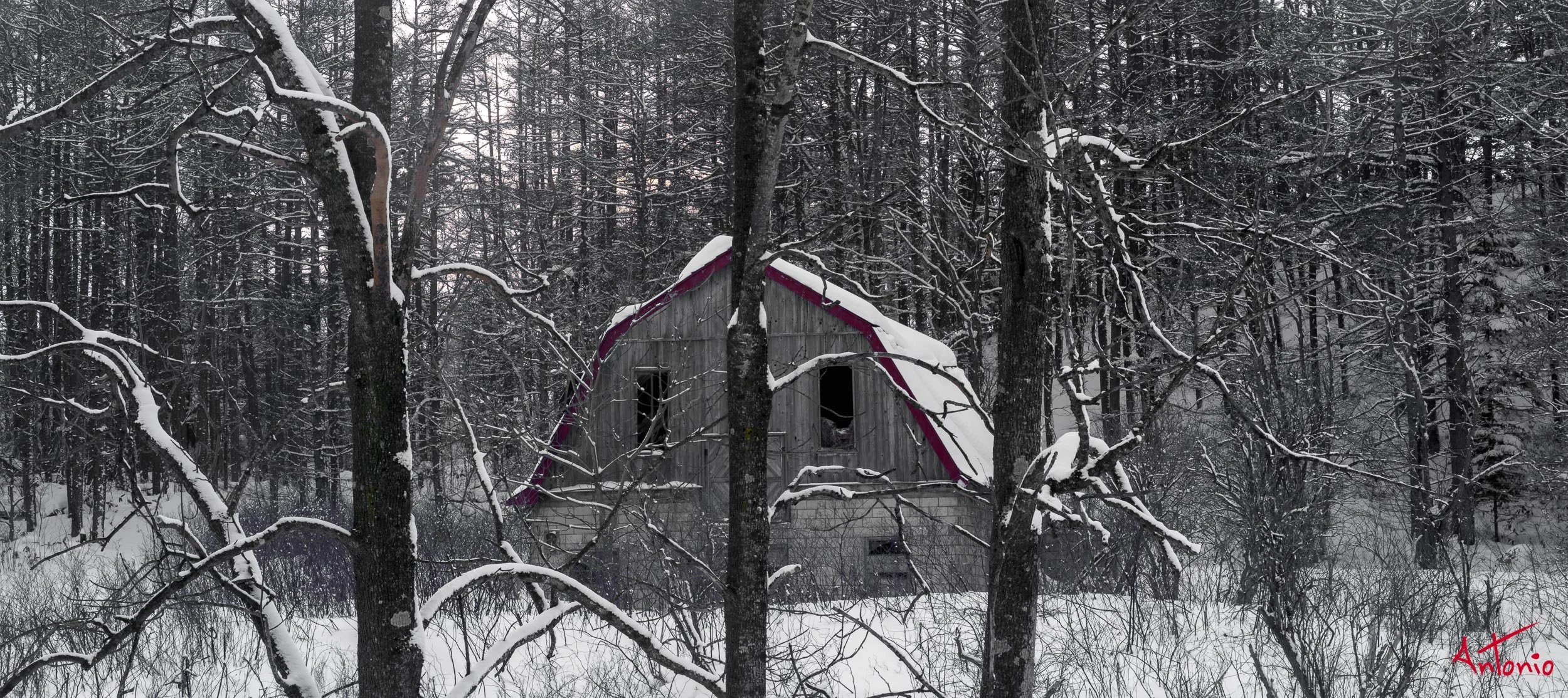 20240116_153737 B0004579 Hokaido.jpg