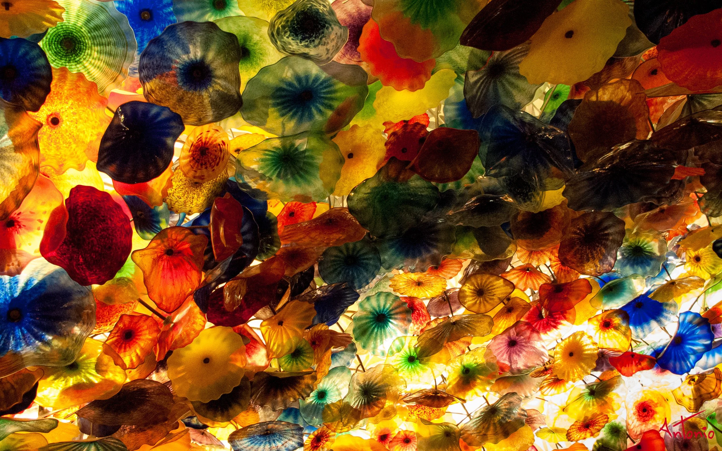 20090303_201035 Las Vegas.jpg