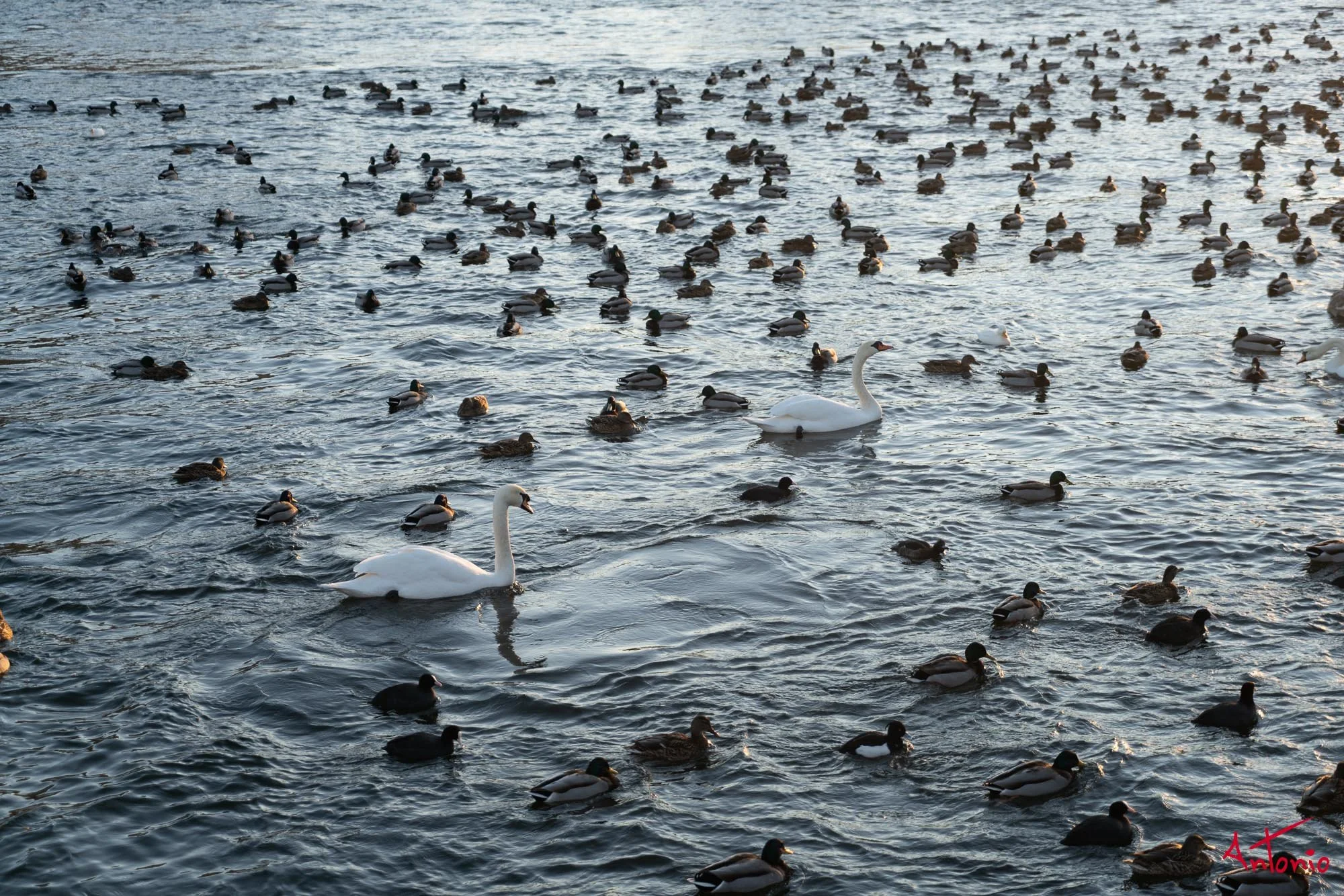 20160224_152303 Estocolmo.jpg