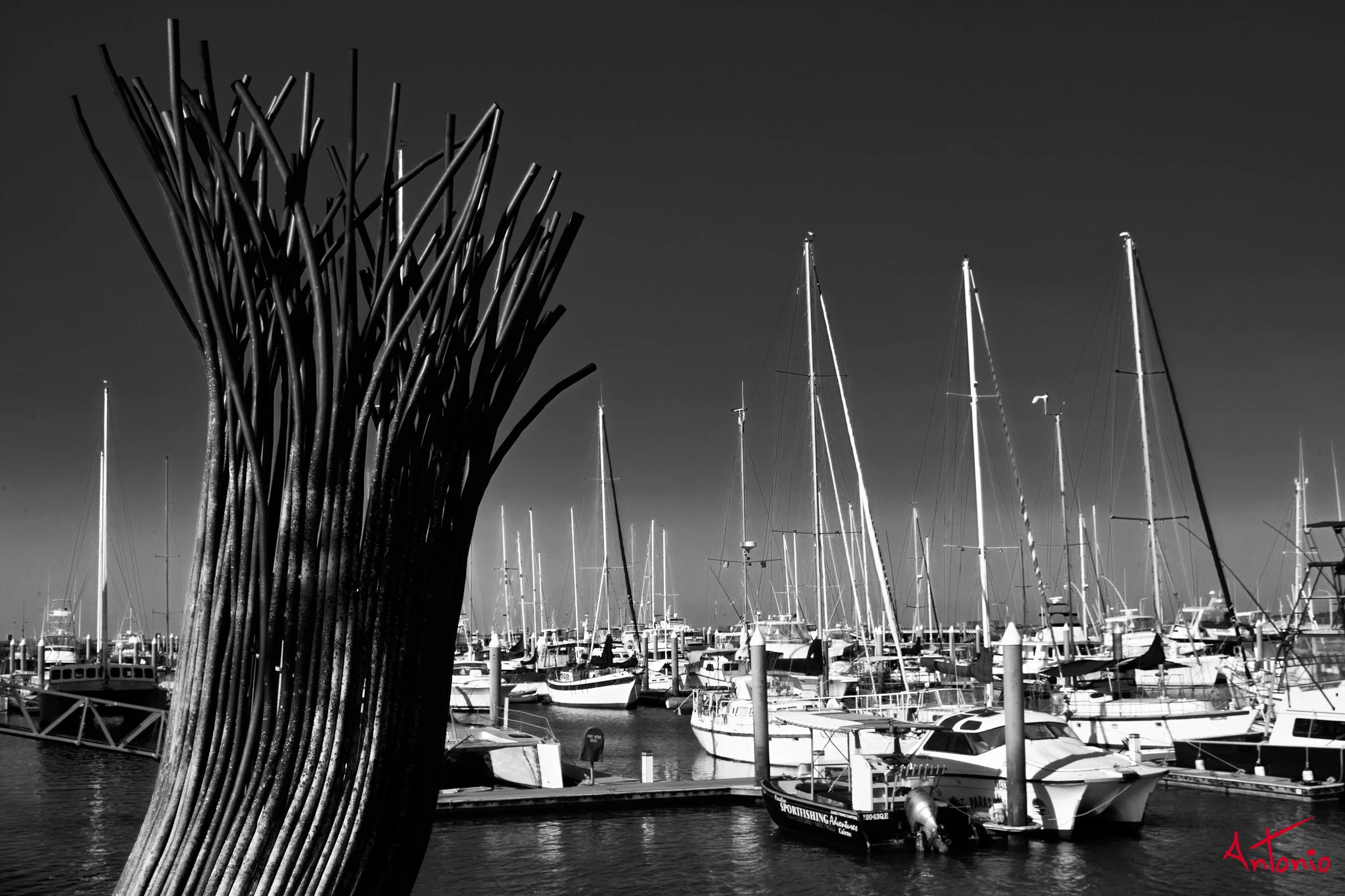 20031125_172502 Cairns.jpg