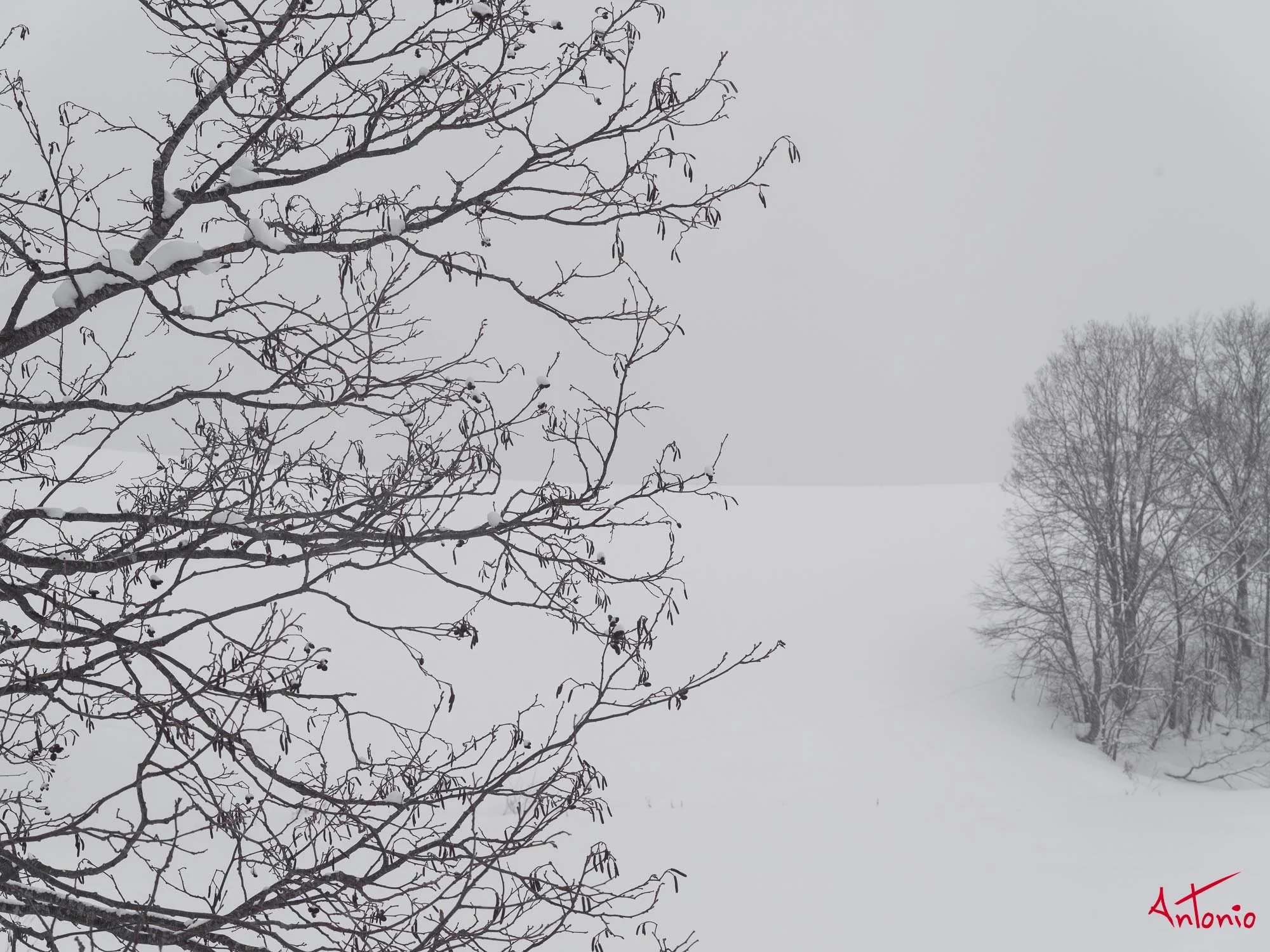 20240116_121812 B0004491 Hokaido.jpg