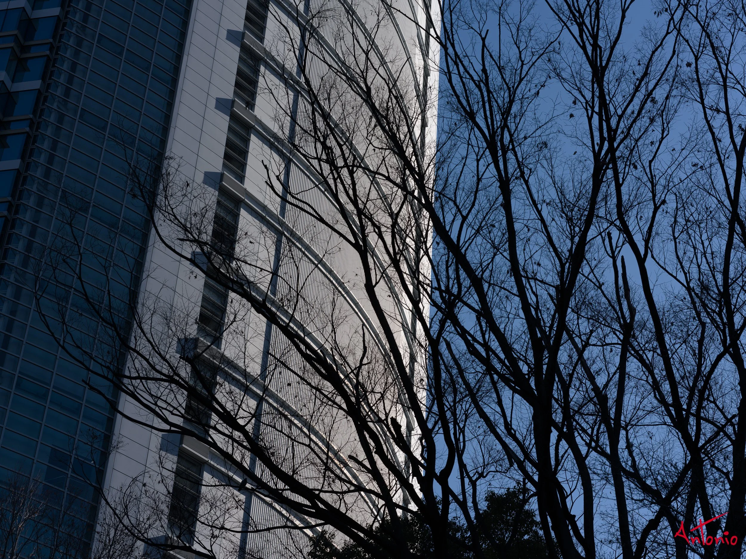 20240123_154730 B0002478 Tokyo.jpg