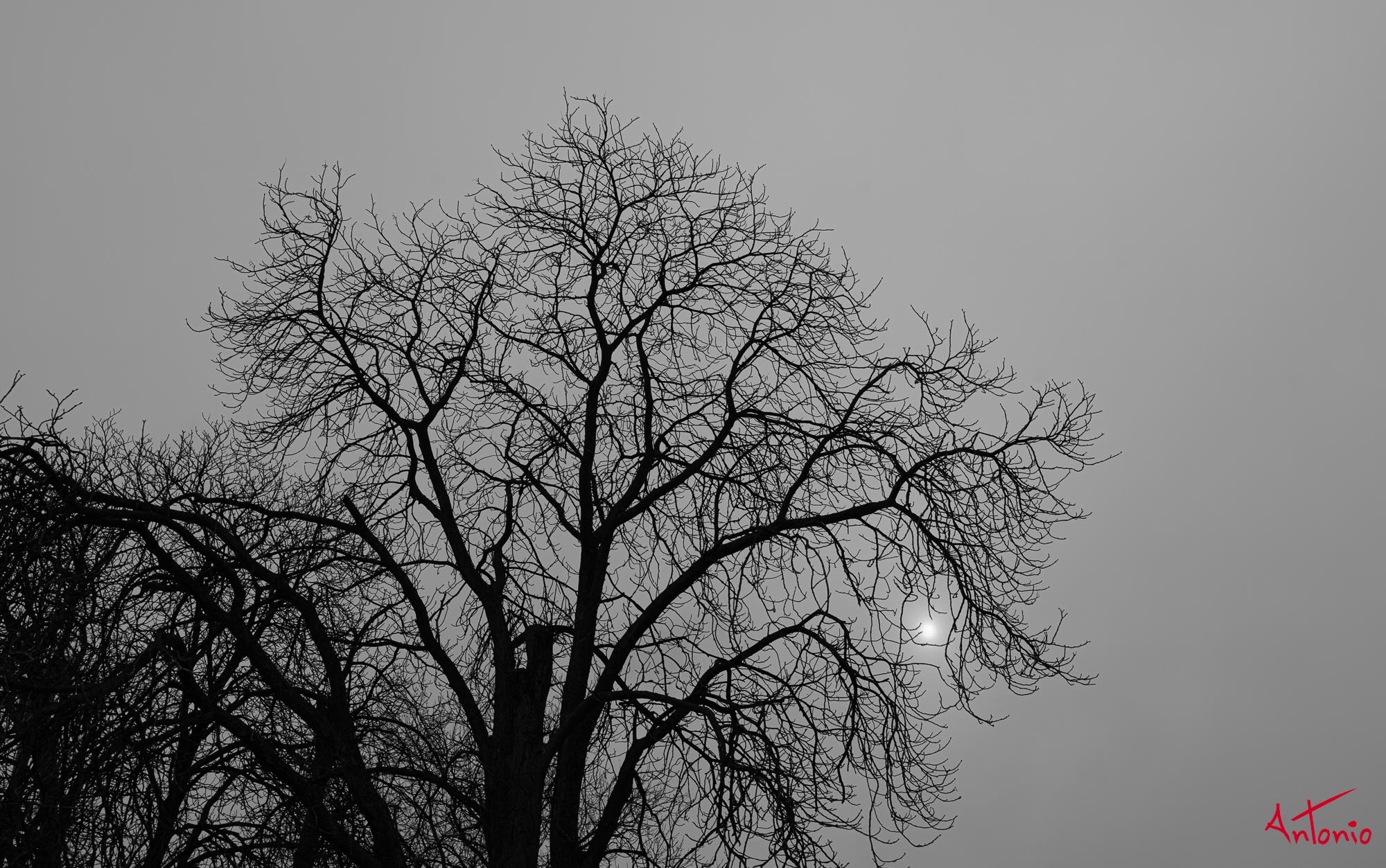 20200220_050850 B0002461 Kiev.jpg