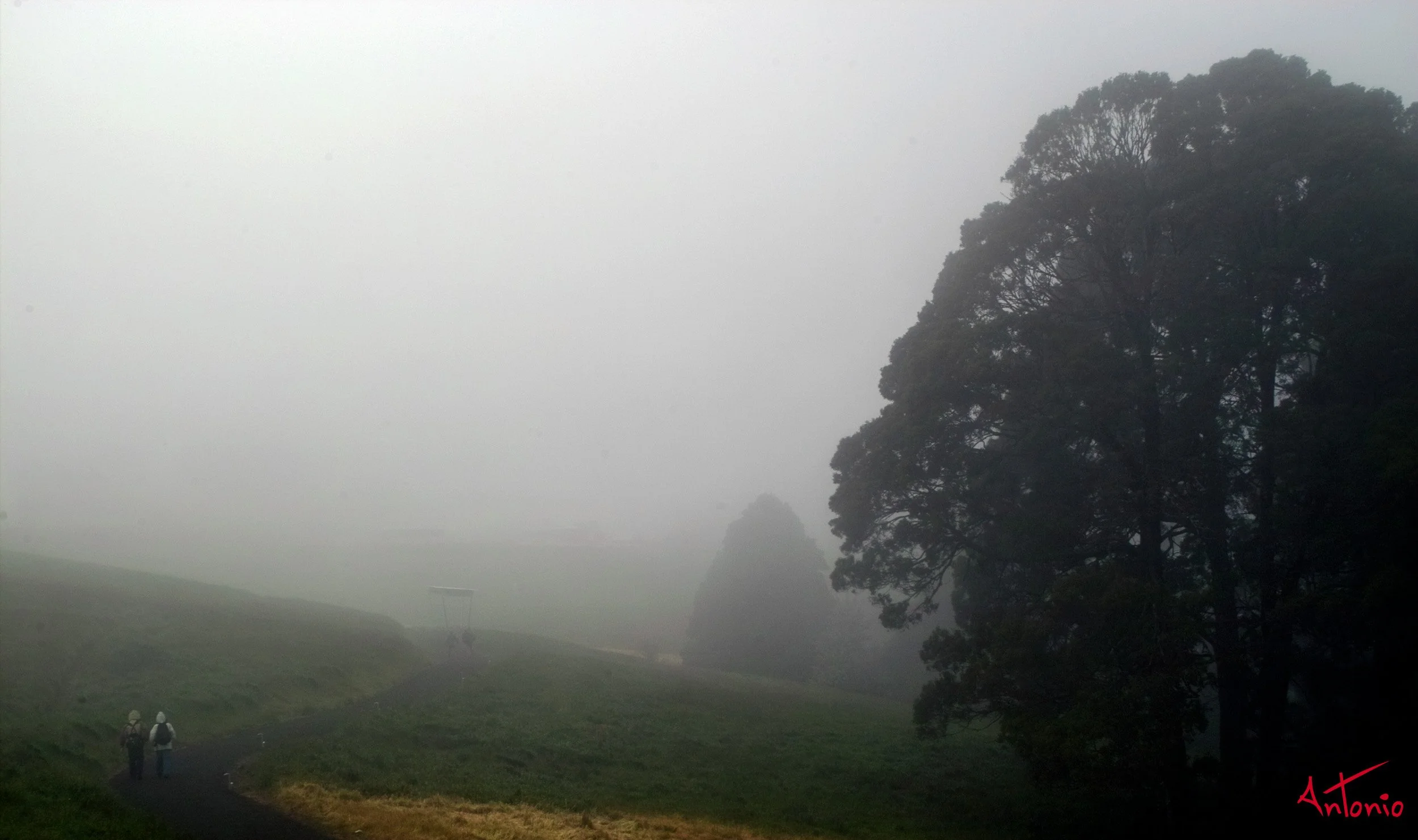 20031122_145321 Melbourne.jpg