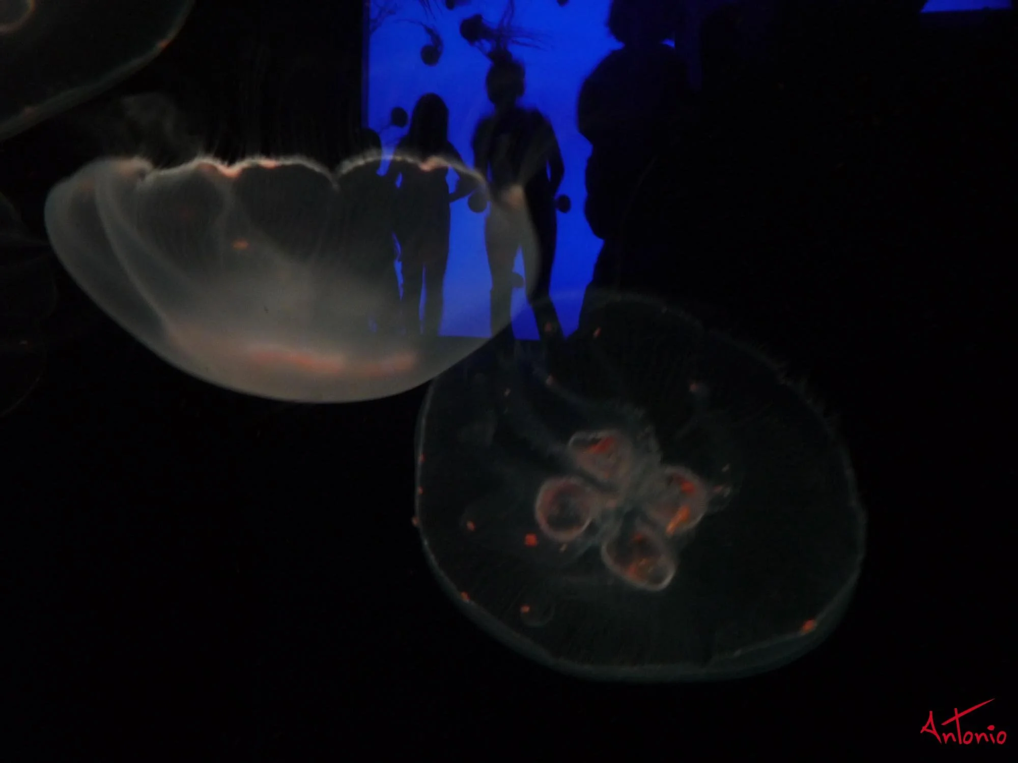 20081019_093442 Atlanta.jpg