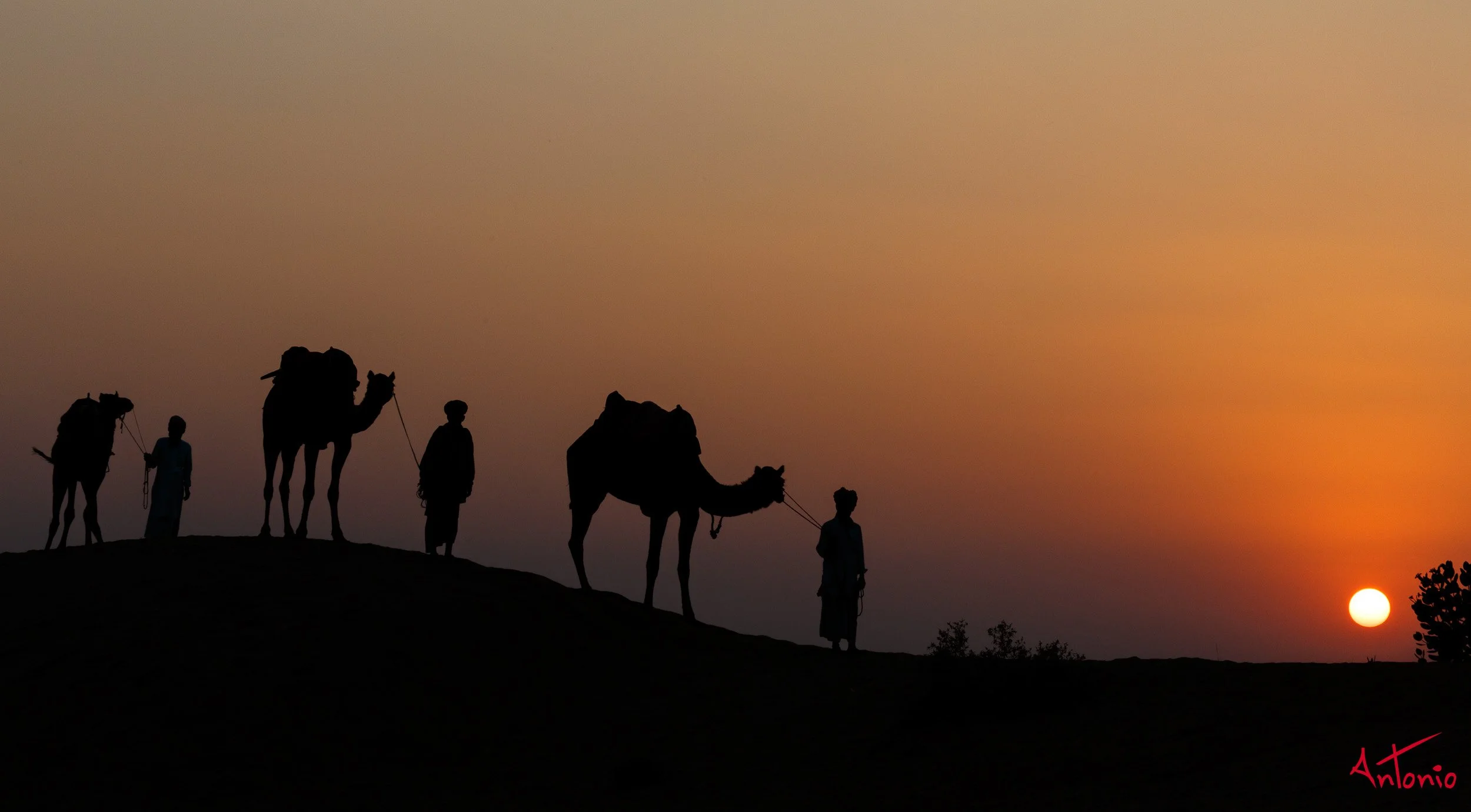 20121122_173246 India_Jamba.jpg