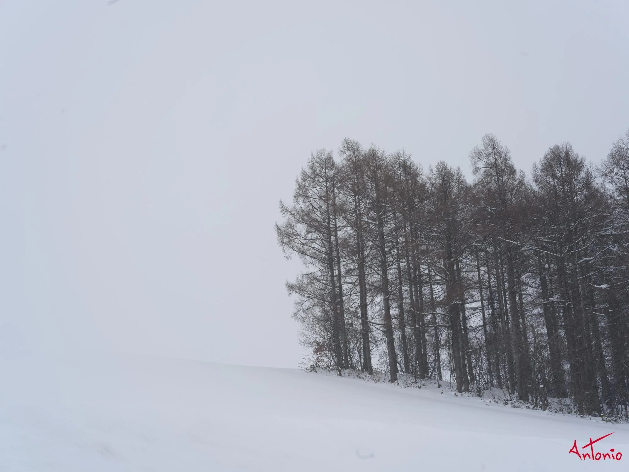 20240109_141612 B0003204 Hokaido.jpg