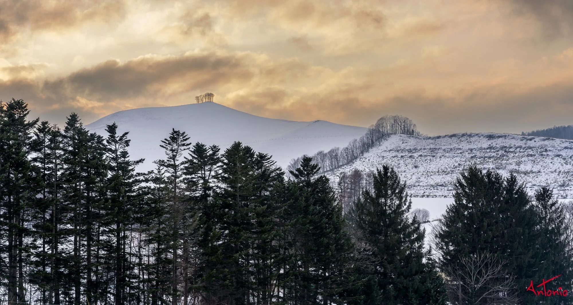 20240118_152945 B0004906 Hokaido.jpg