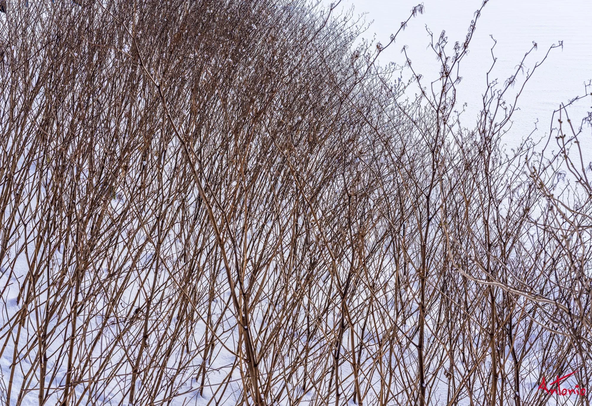 20240108_102814 B0002784 Hokaido.jpg