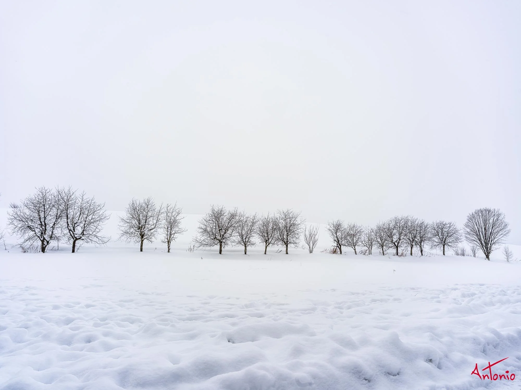 20240109_110627 B0003115 Hokaido.jpg