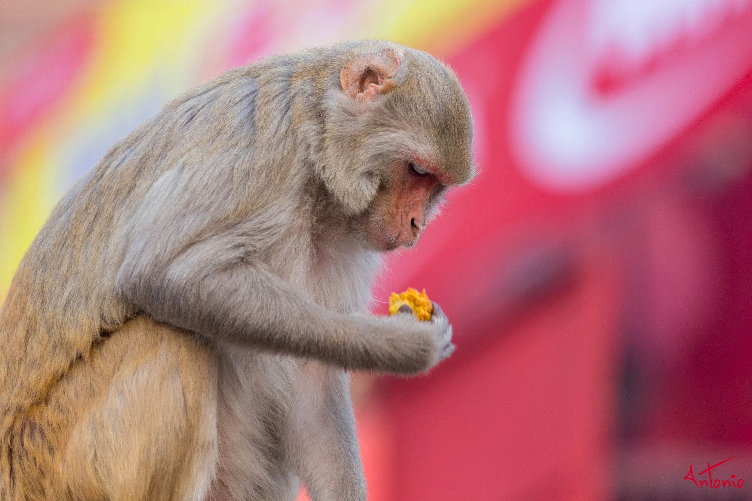 20121119_064512 Varanasi.jpg