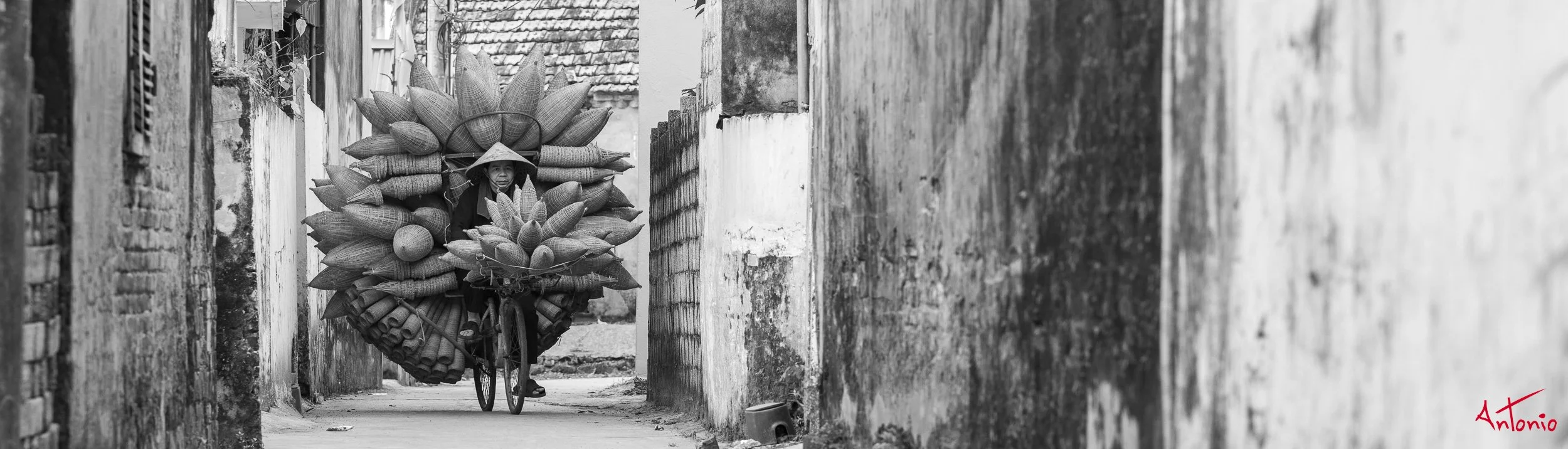 20260205_123524 B0014842-2 Tan Hung, Vietnam.jpg