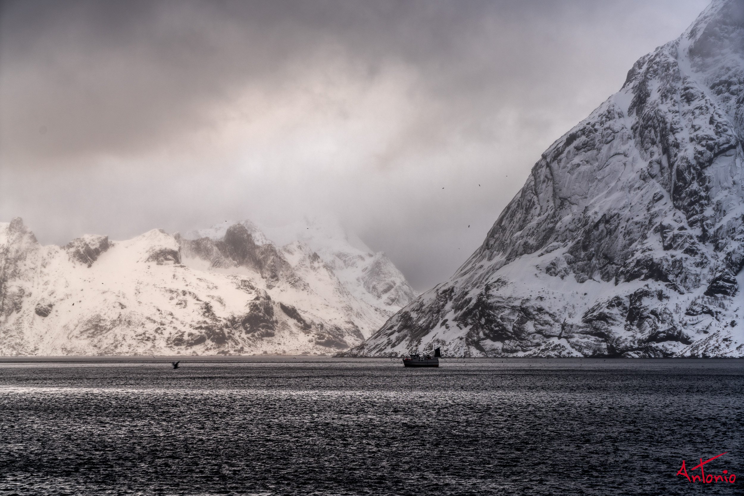20160219_123222 Lofoten.jpg
