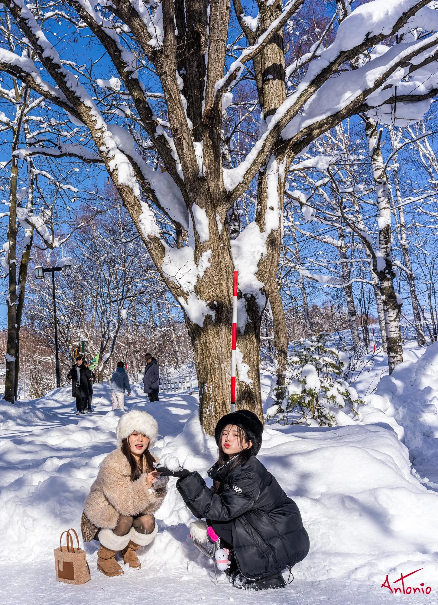 20240108_115804 B0002946 Hokaido.jpg