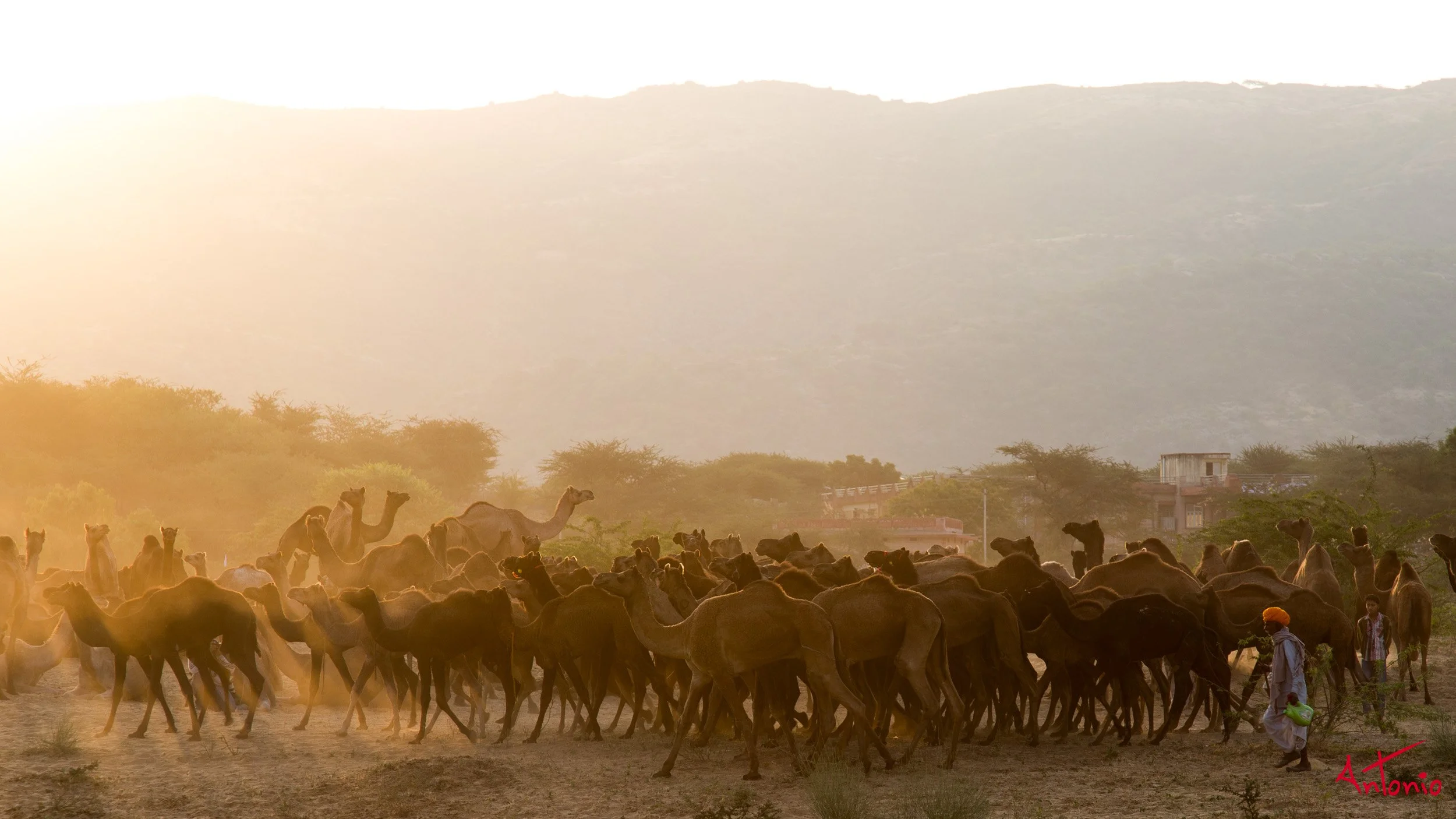 20121124_073619 Pushkar.jpg