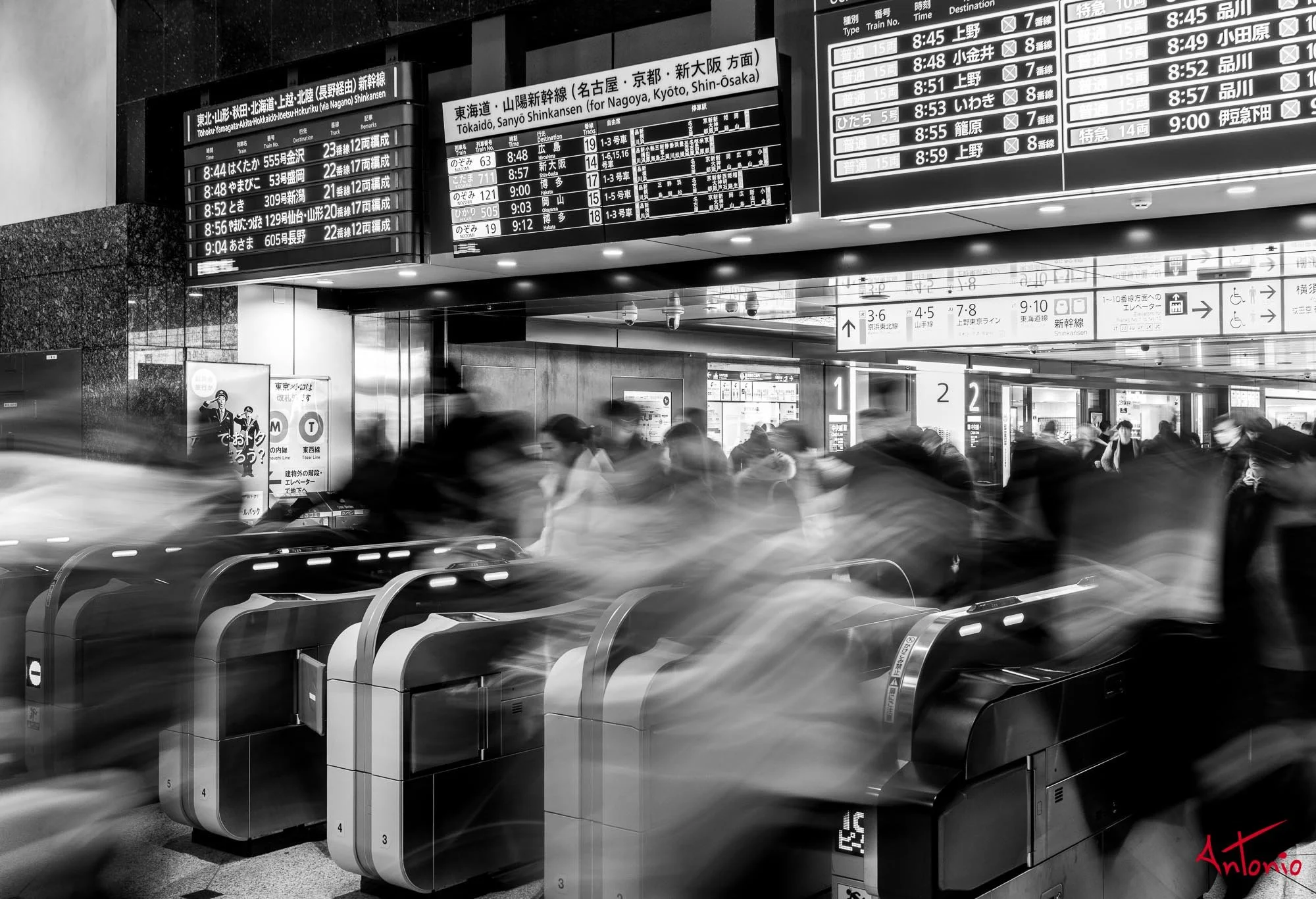 20240123_143853 B0001987 Tokyo.jpg