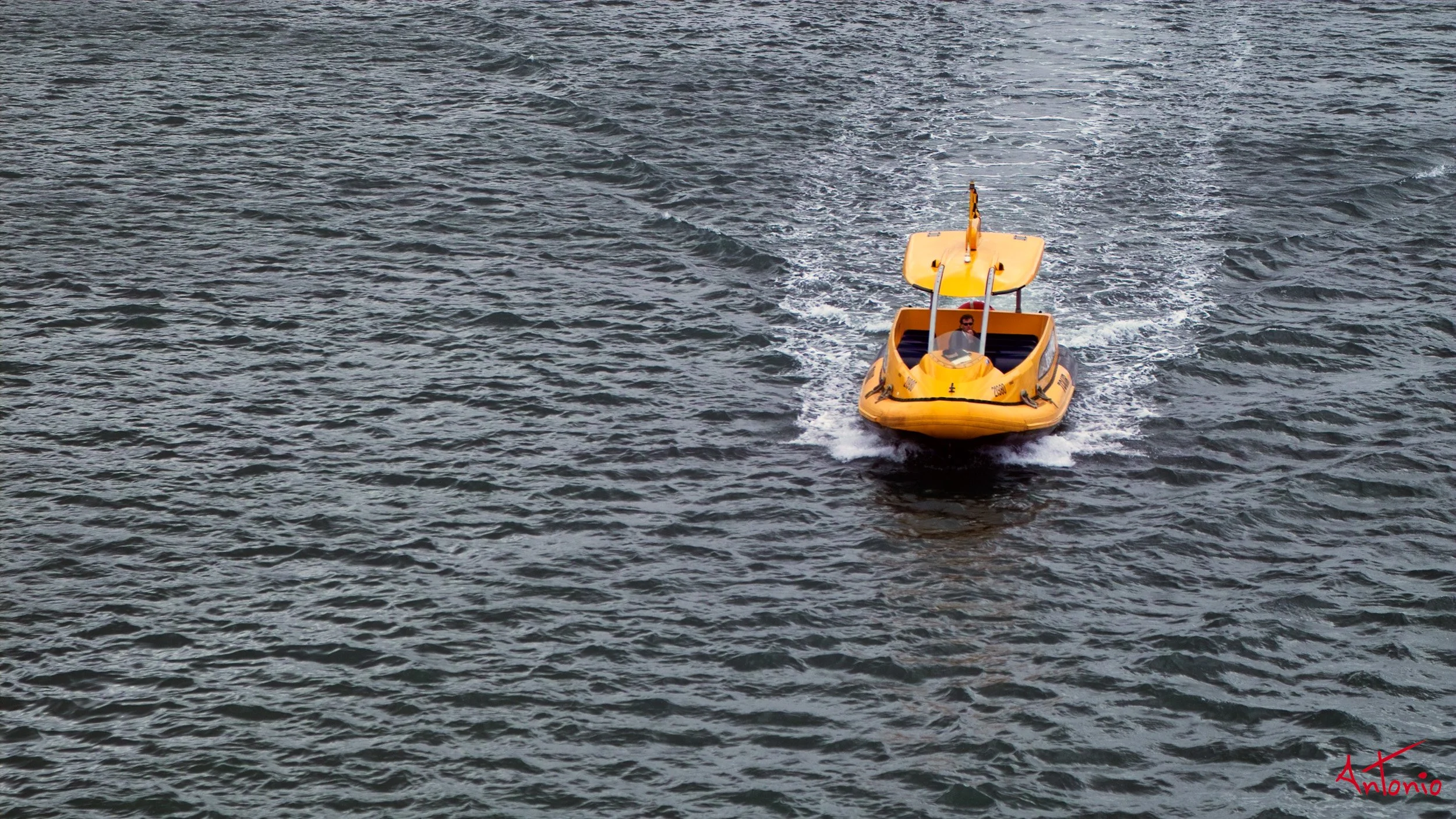 20031117_123151 Sydney.jpg