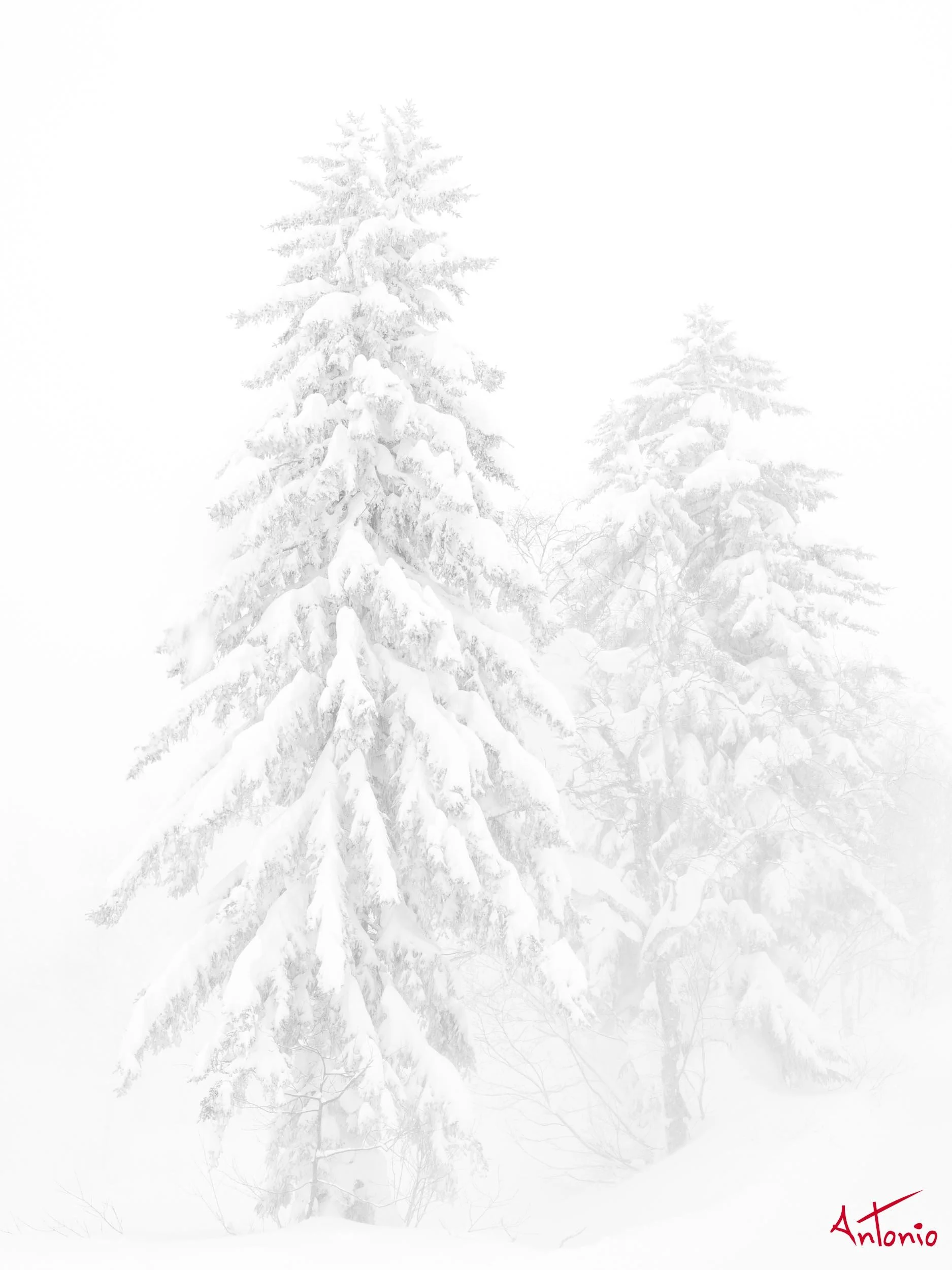 20240110_121923 B0003348 Hokaido.jpg